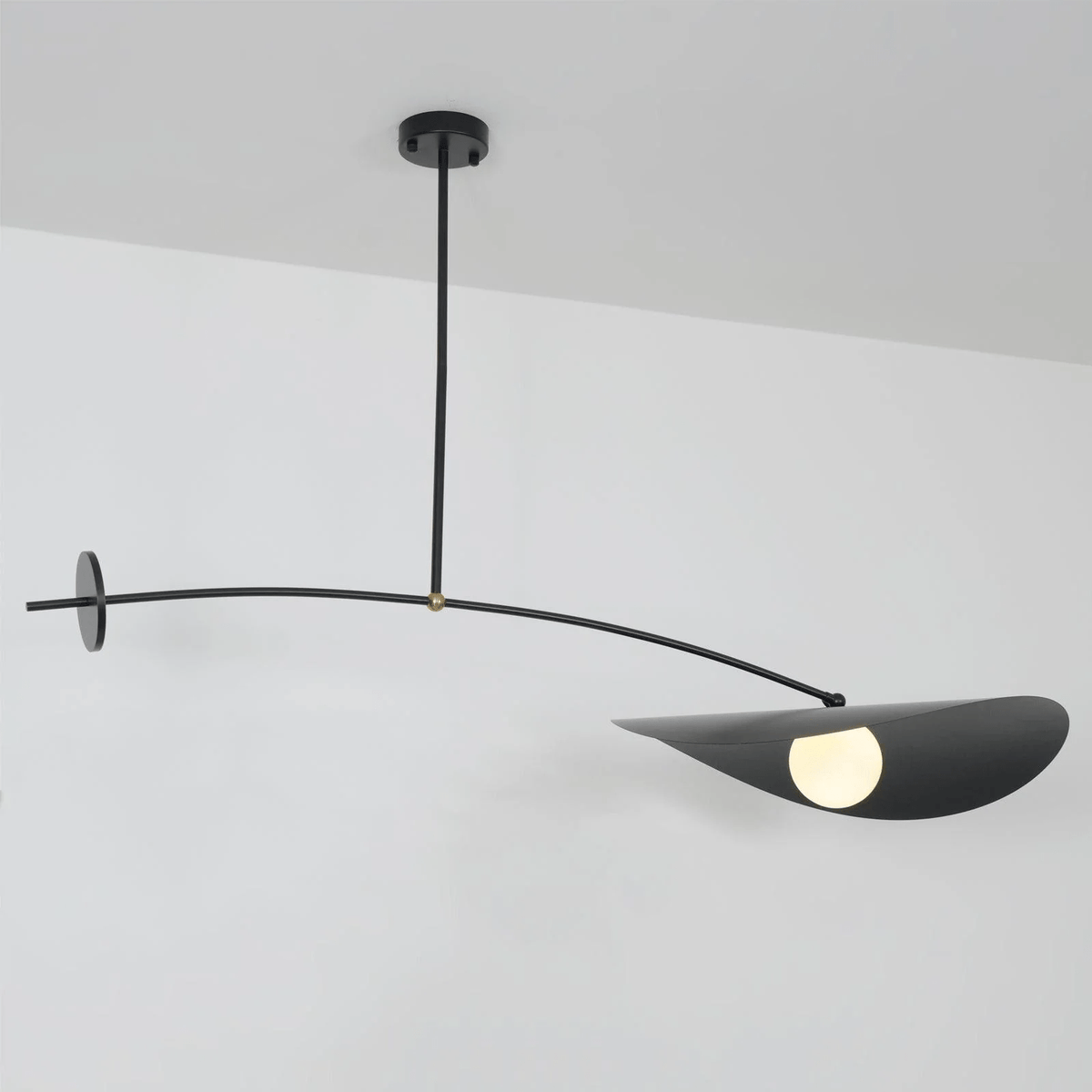 Arcflow lampada a sospensione Dinamica con Curva