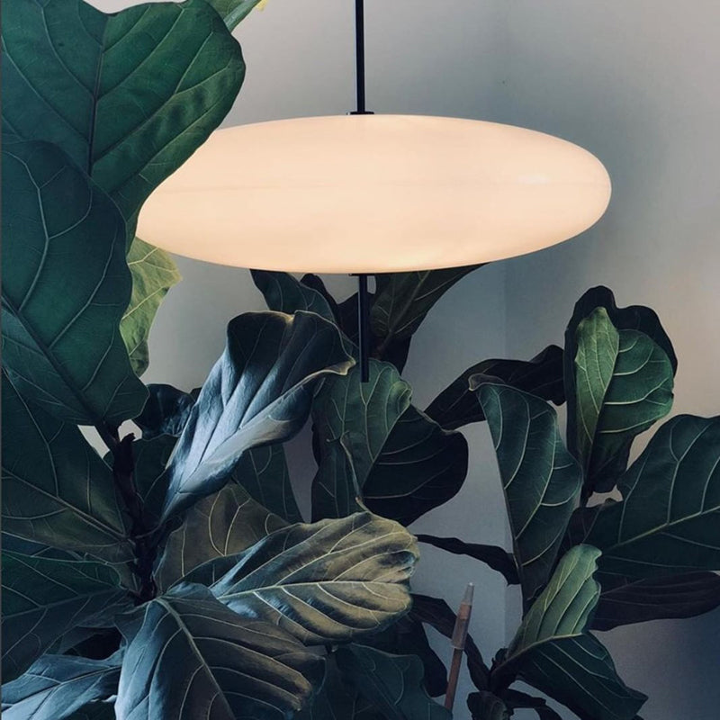 Ritta Nordico LED Moderna Lampada a Sospensione Ovale Singola - Relic Pieces