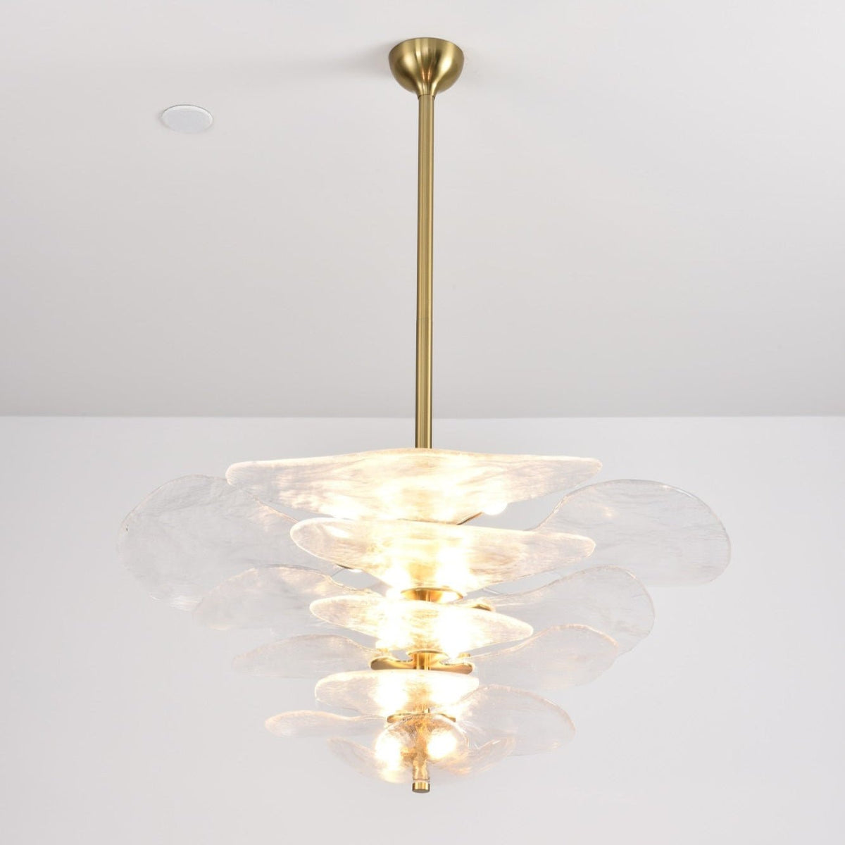 Crivs lampadario Oro vetro Murano petali lusso