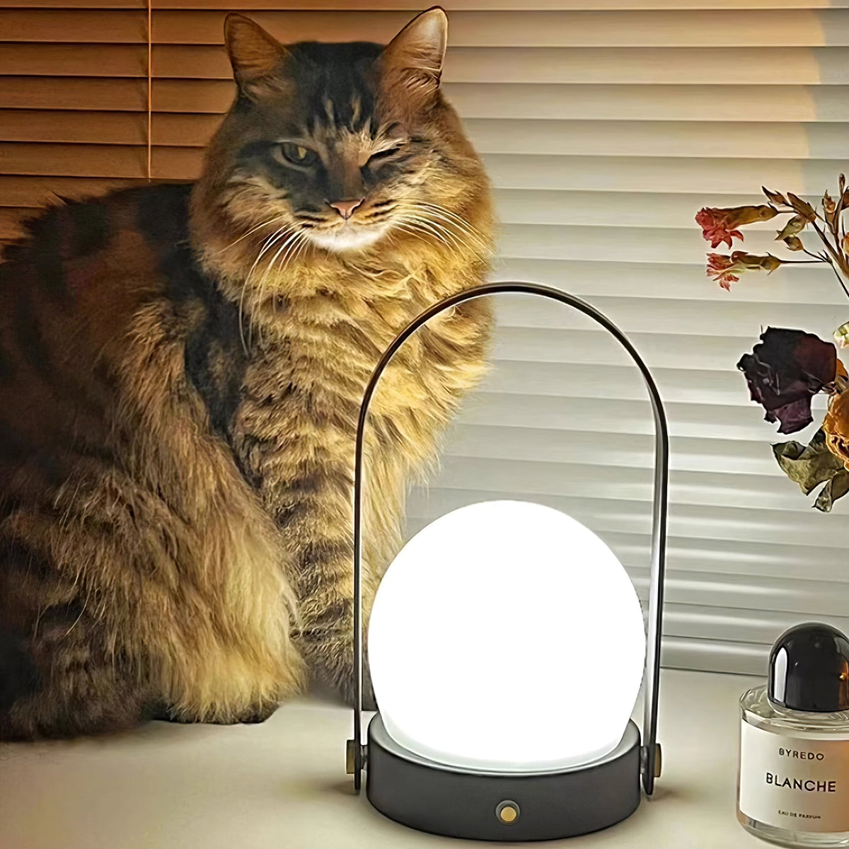 Zenon lampada da tavolo in vetro minimalista