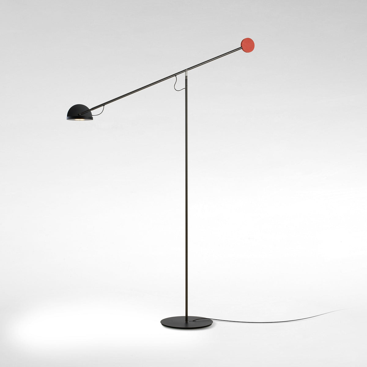 Copernica lampada da terra