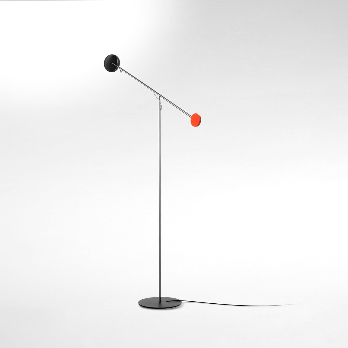 Copernica lampada da terra