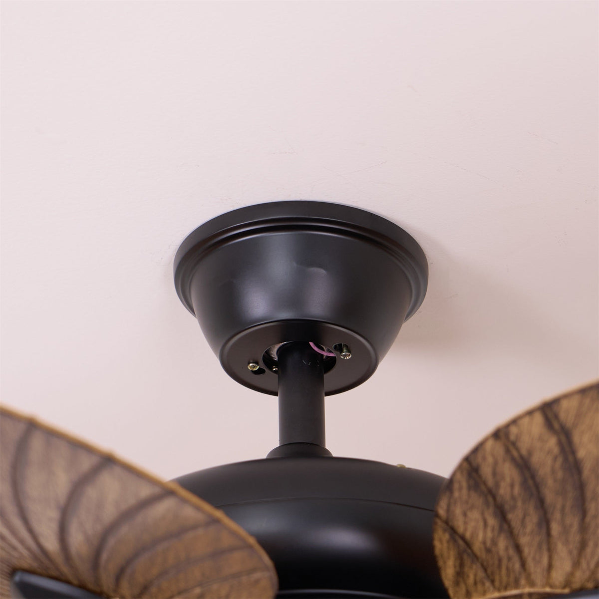 Viraalel ventilatore da soffitto con luce