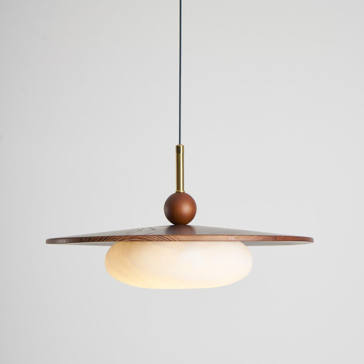 Viraeriella lampada a sospensione