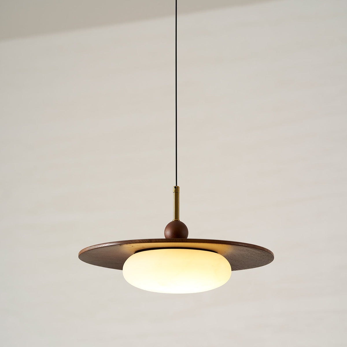 Viraeriella lampada a sospensione
