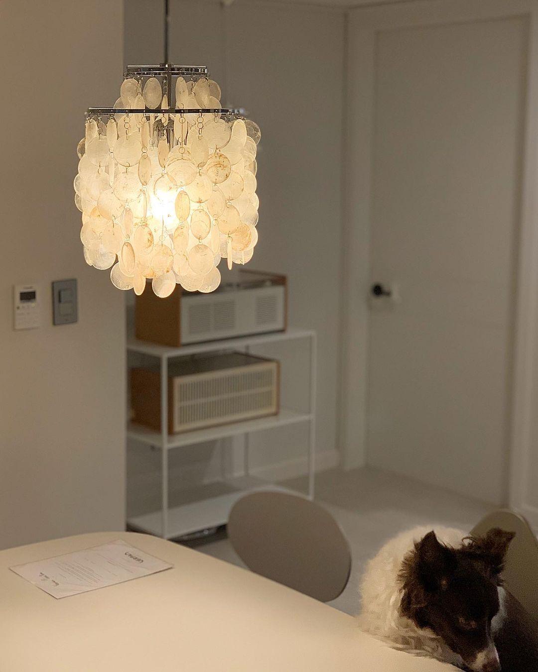 Rivena lampada a sospensione Guscio Tondo Anello