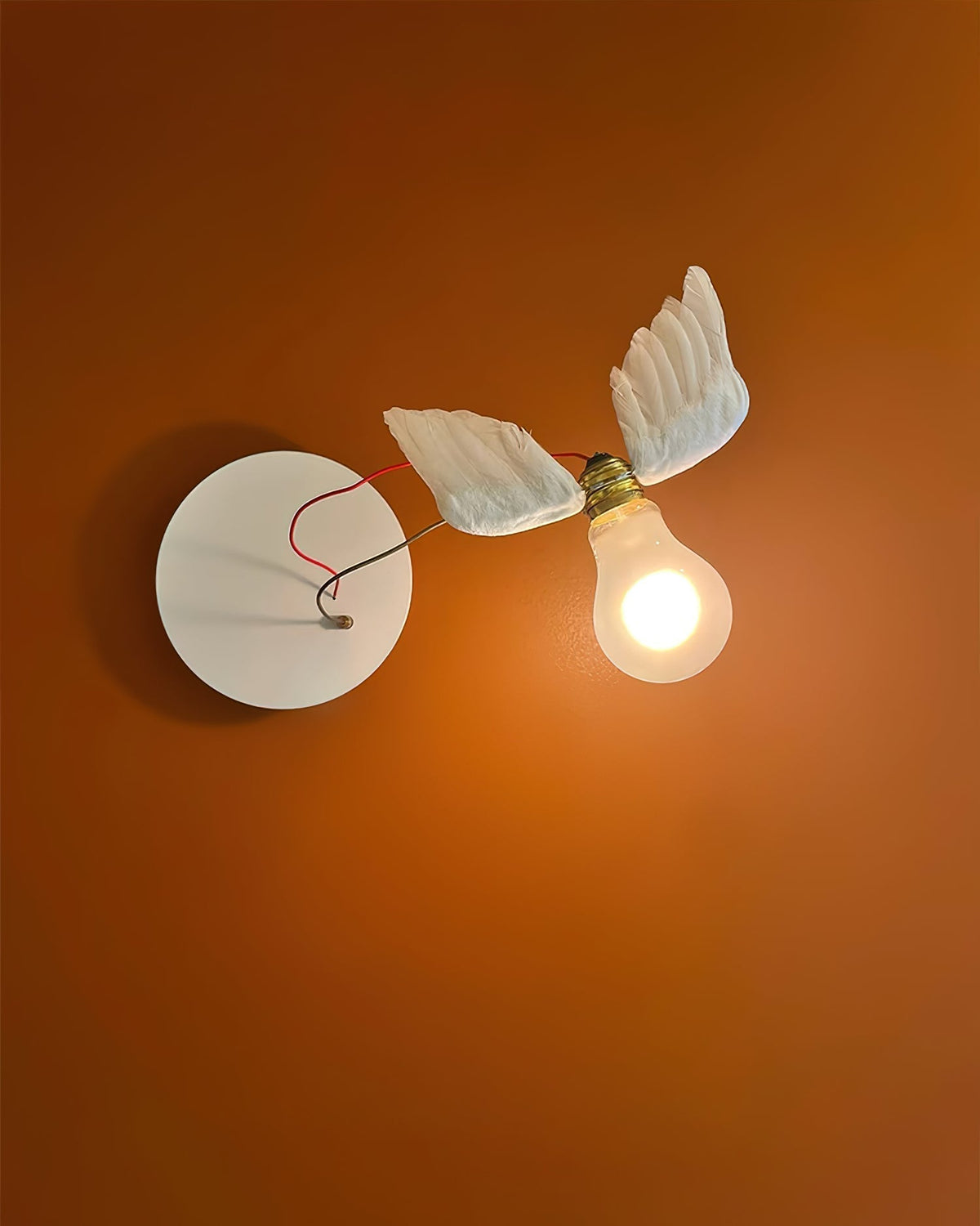 Lioranaria applique