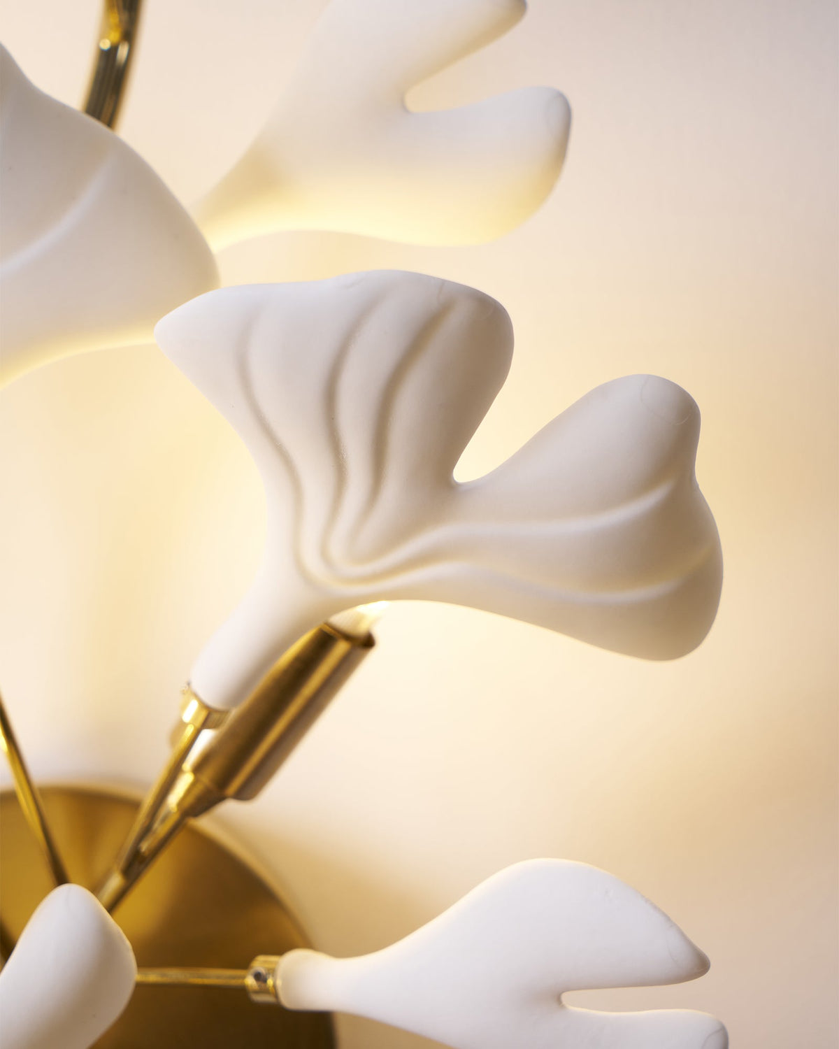 Apry applique
