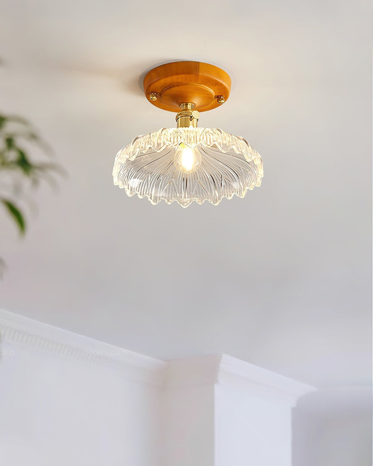 Velareon lampada da soffitto