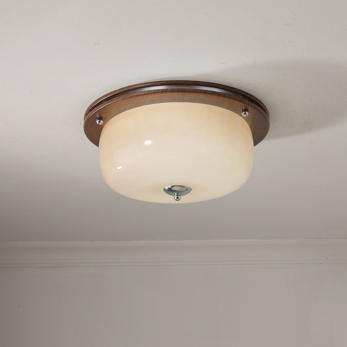 Vetheel plafoniera Premium Nordic Art Dome in vetro
