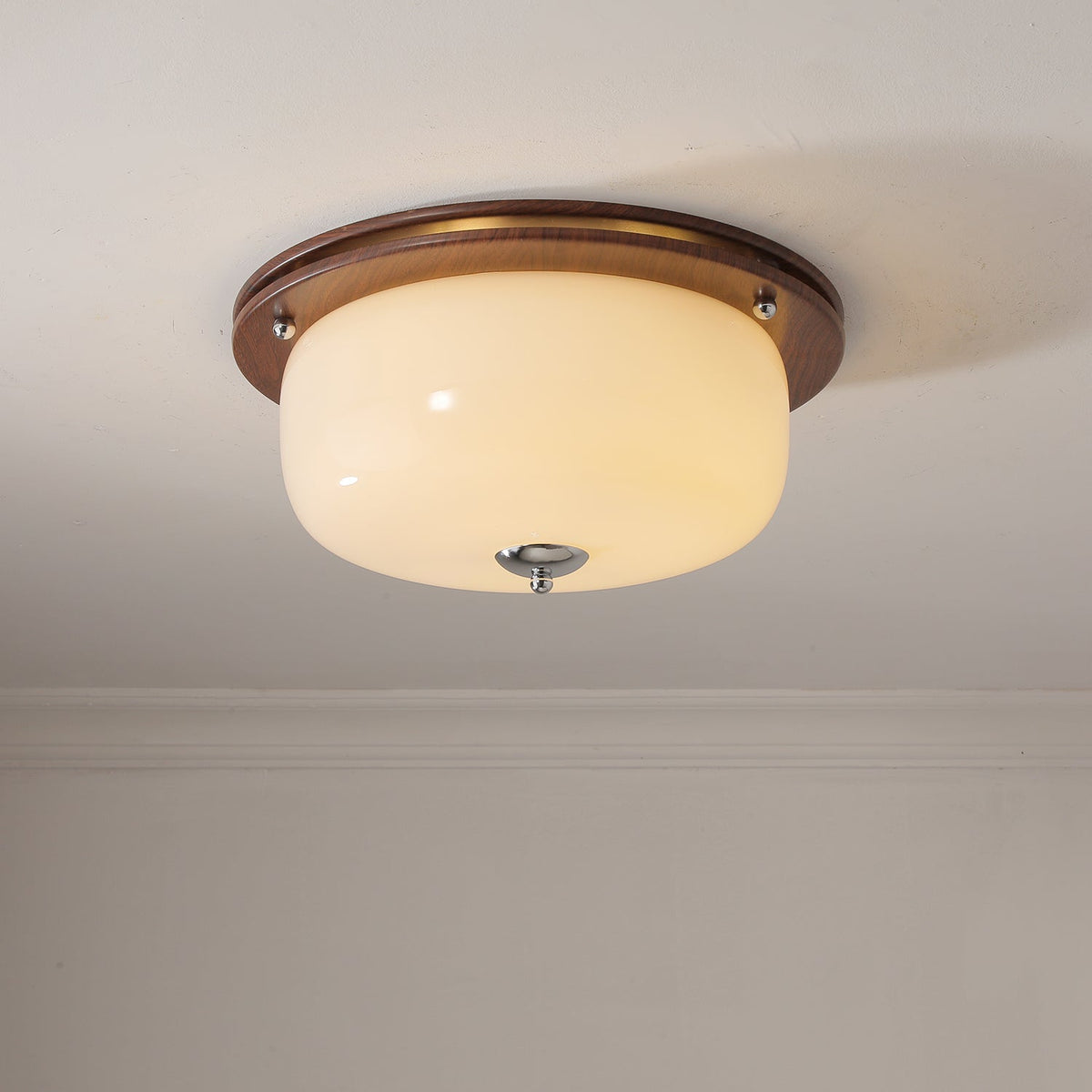 Vetheel plafoniera Premium Nordic Art Dome in vetro