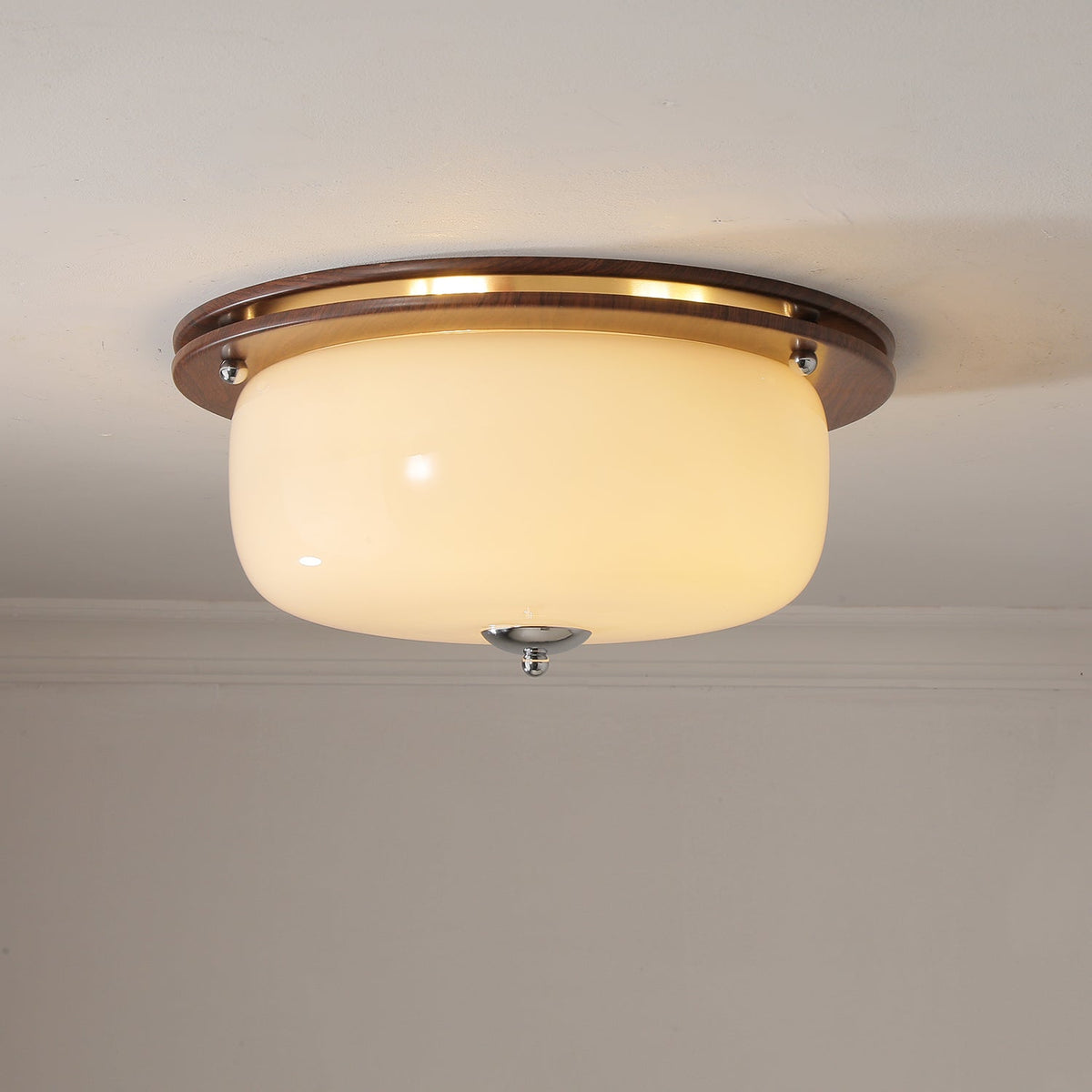 Vetheel plafoniera Premium Nordic Art Dome in vetro