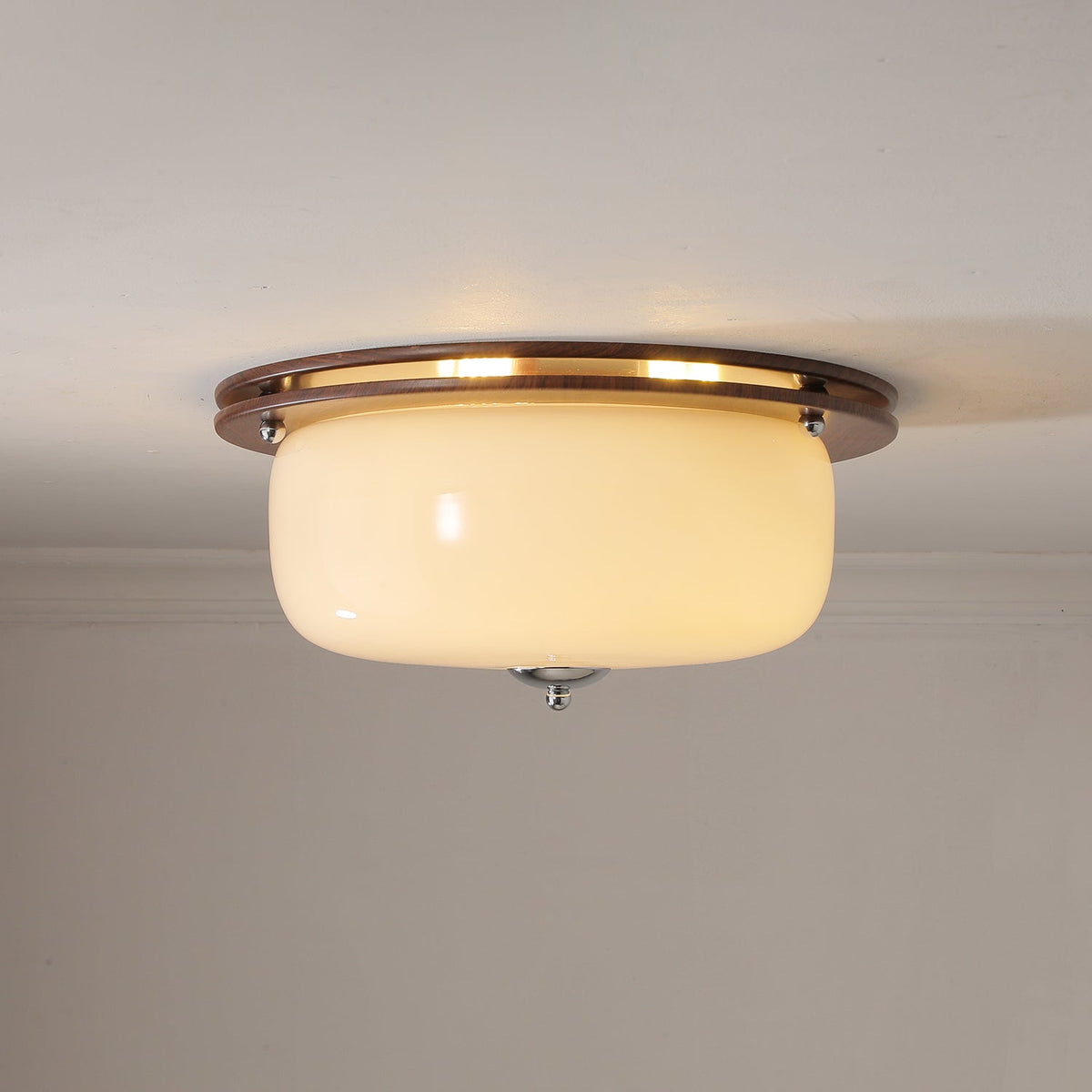 Vetheel plafoniera Premium Nordic Art Dome in vetro