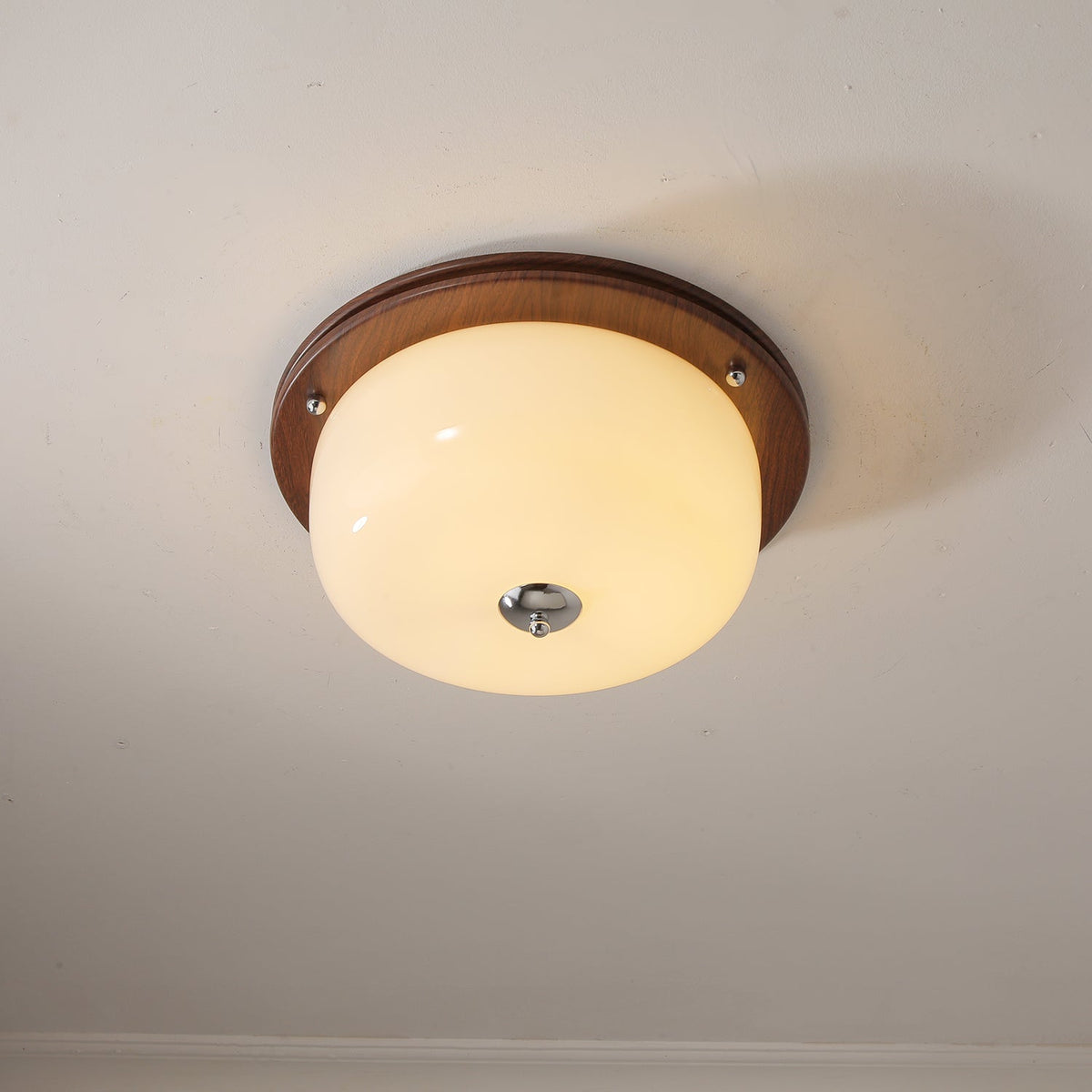 Vetheel plafoniera Premium Nordic Art Dome in vetro