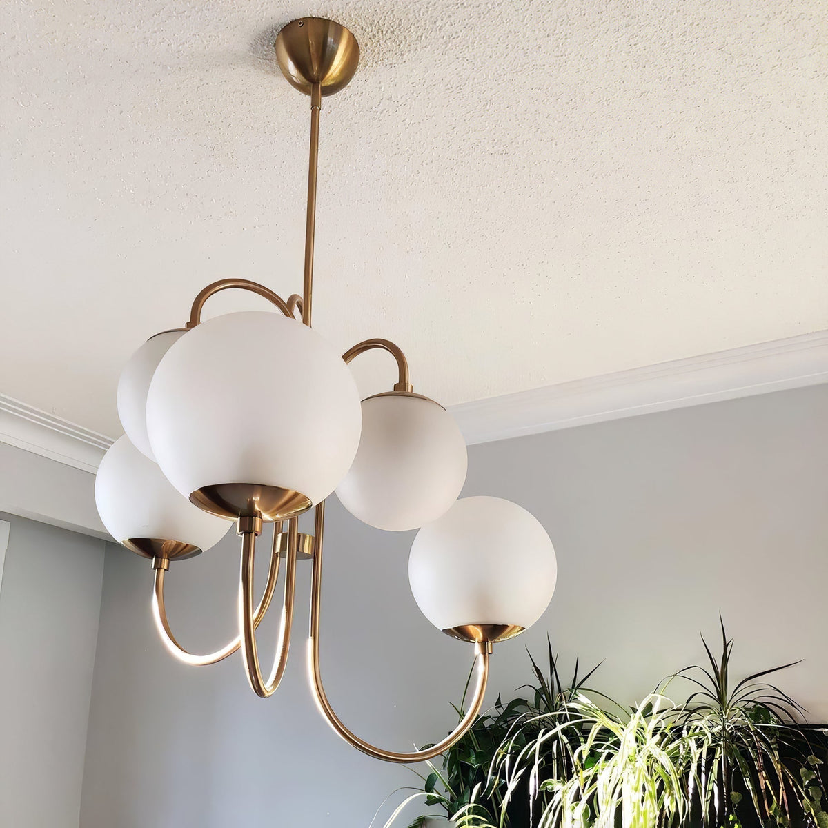 Auruaria lampadario ottone Bracci Curvi sfere Opaline elegante per soggiorno a grappolo