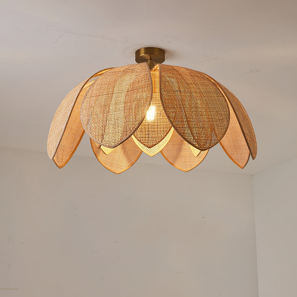 Hanove lampada da soffitto