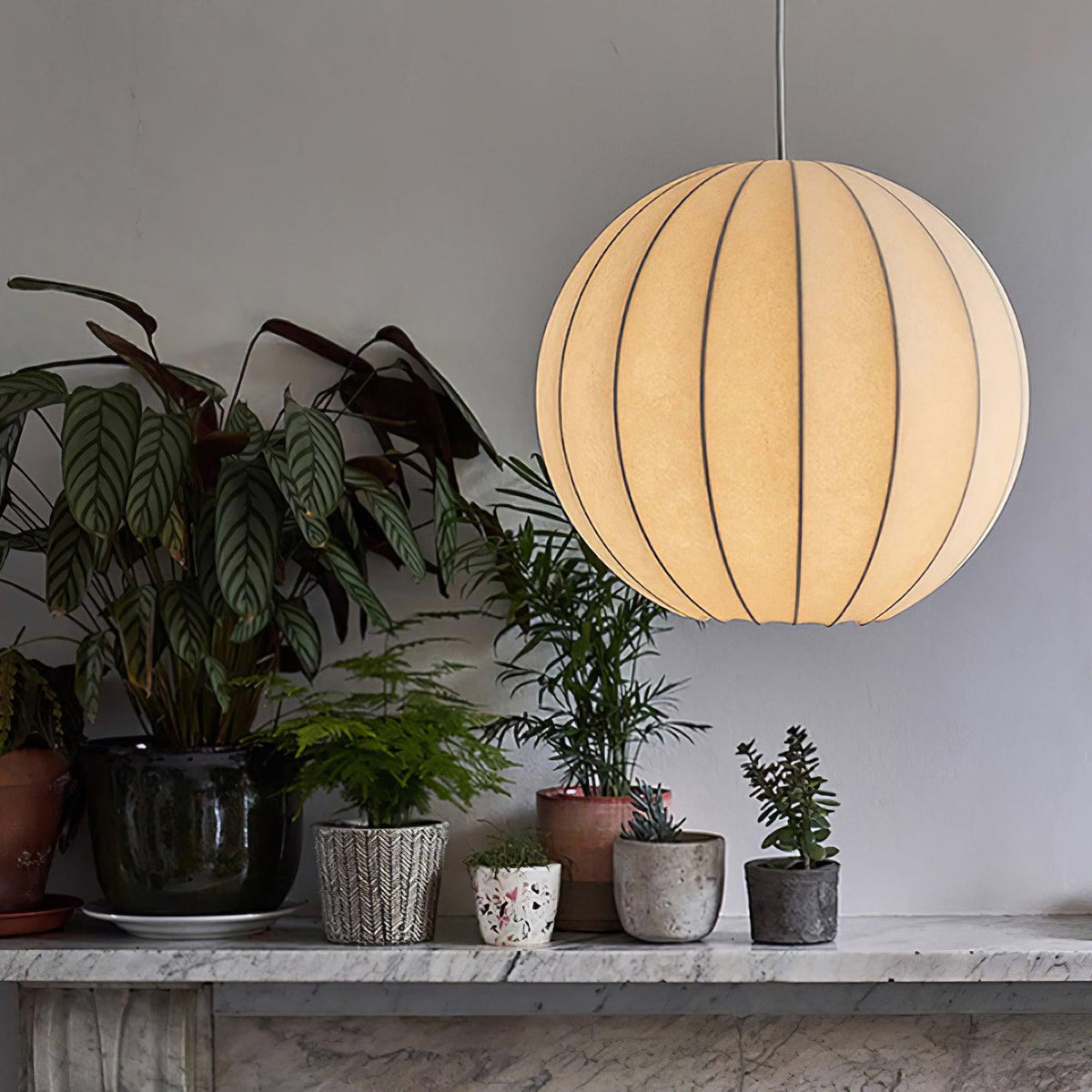 Aporia lampada a sospensione