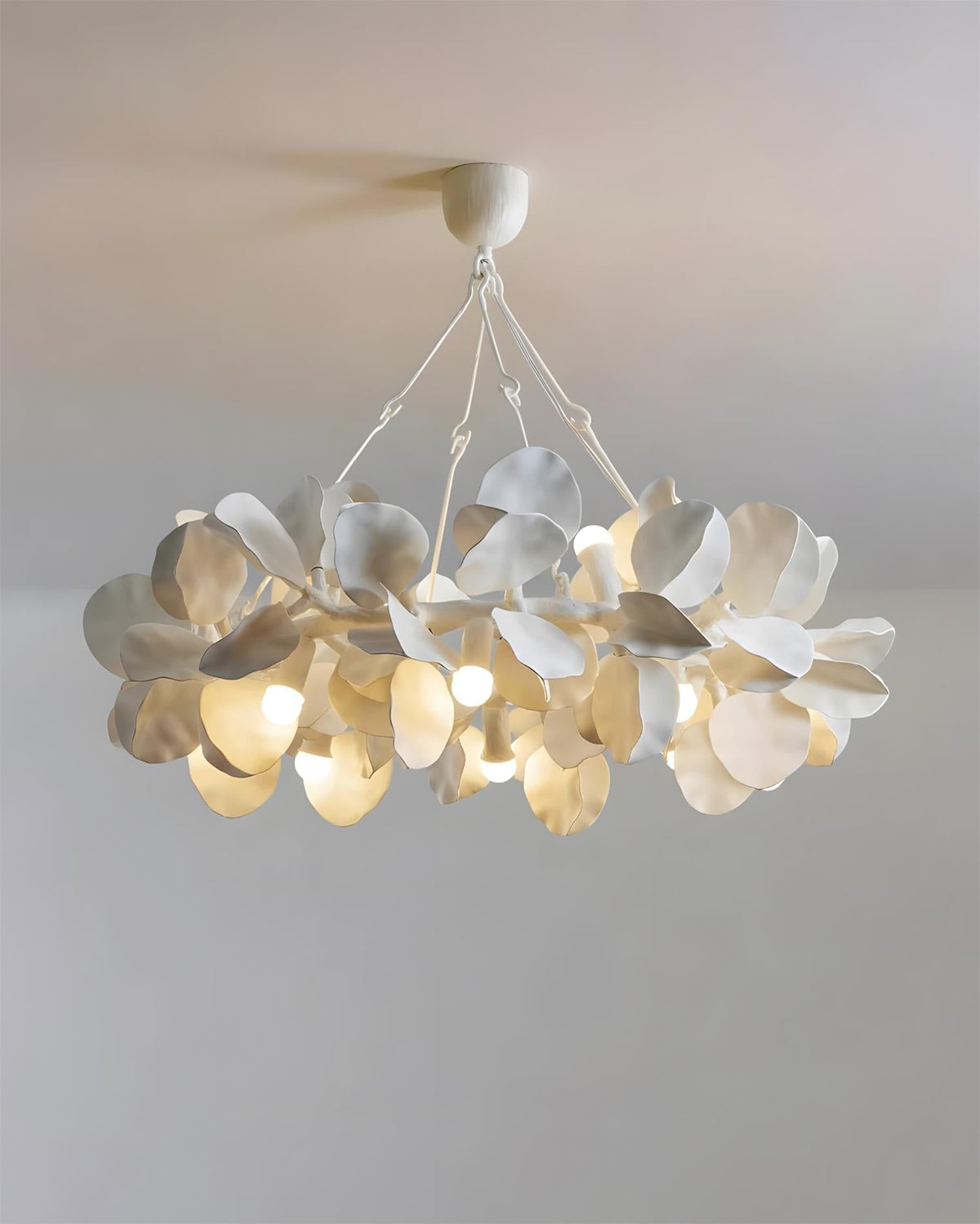 Soriella Crown lampadario