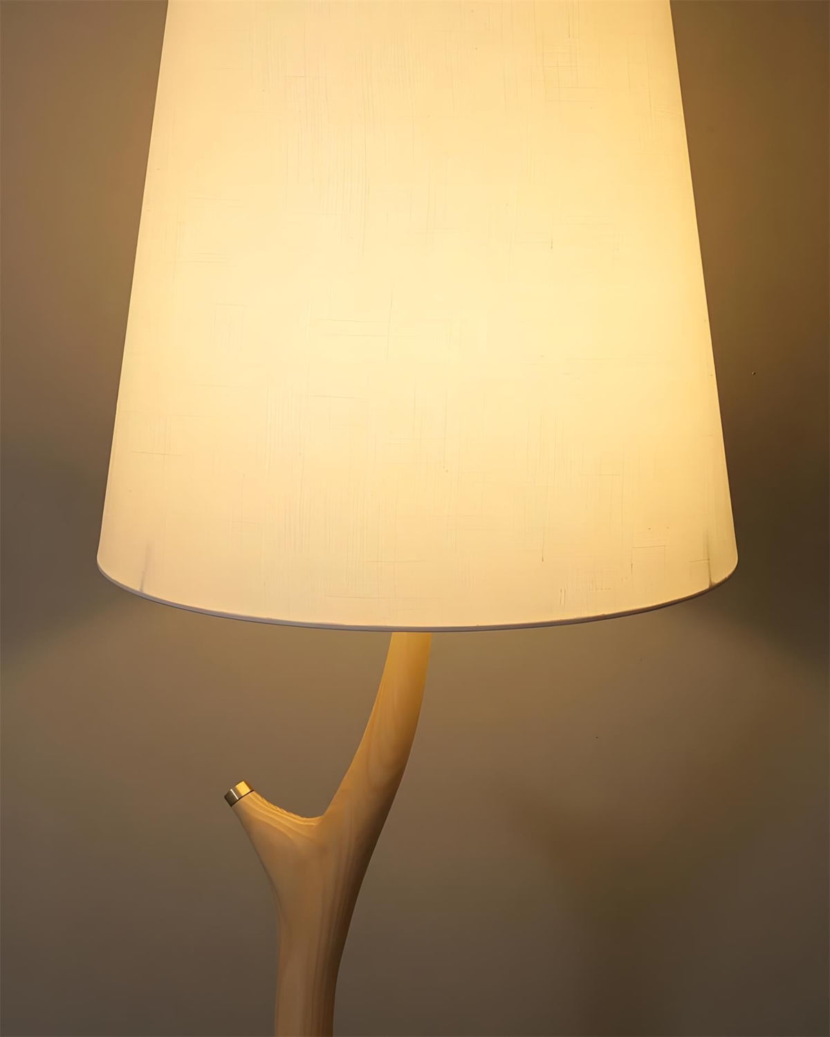 Norinia lampada da terra