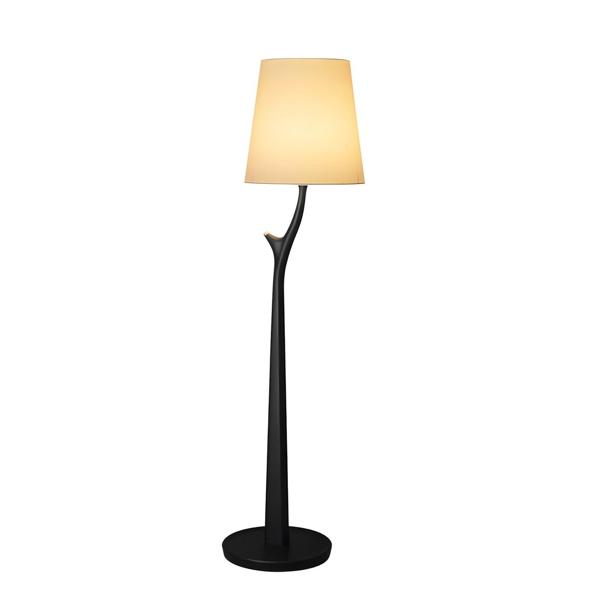 Norinia lampada da terra