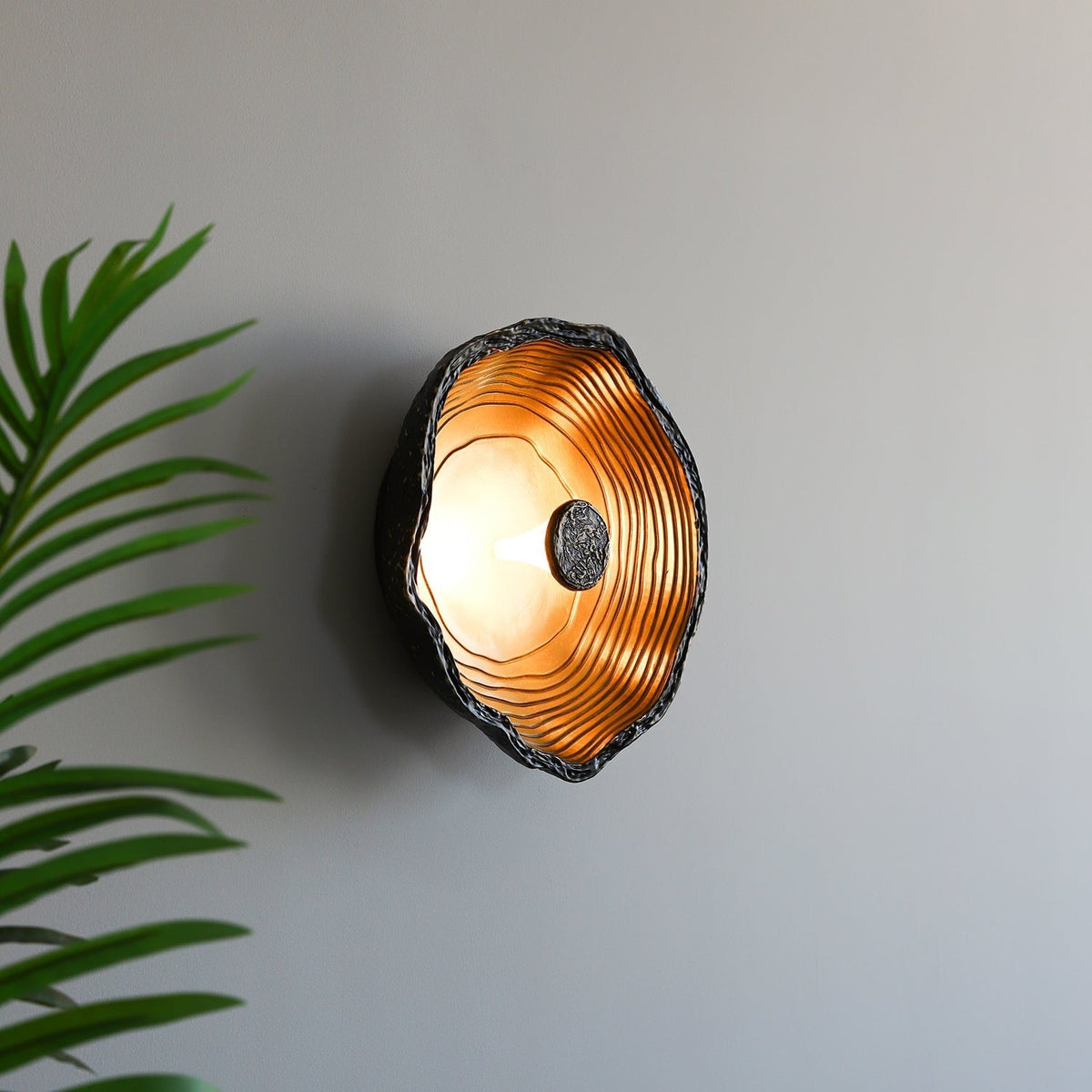 Aurevra lampada da parete nera