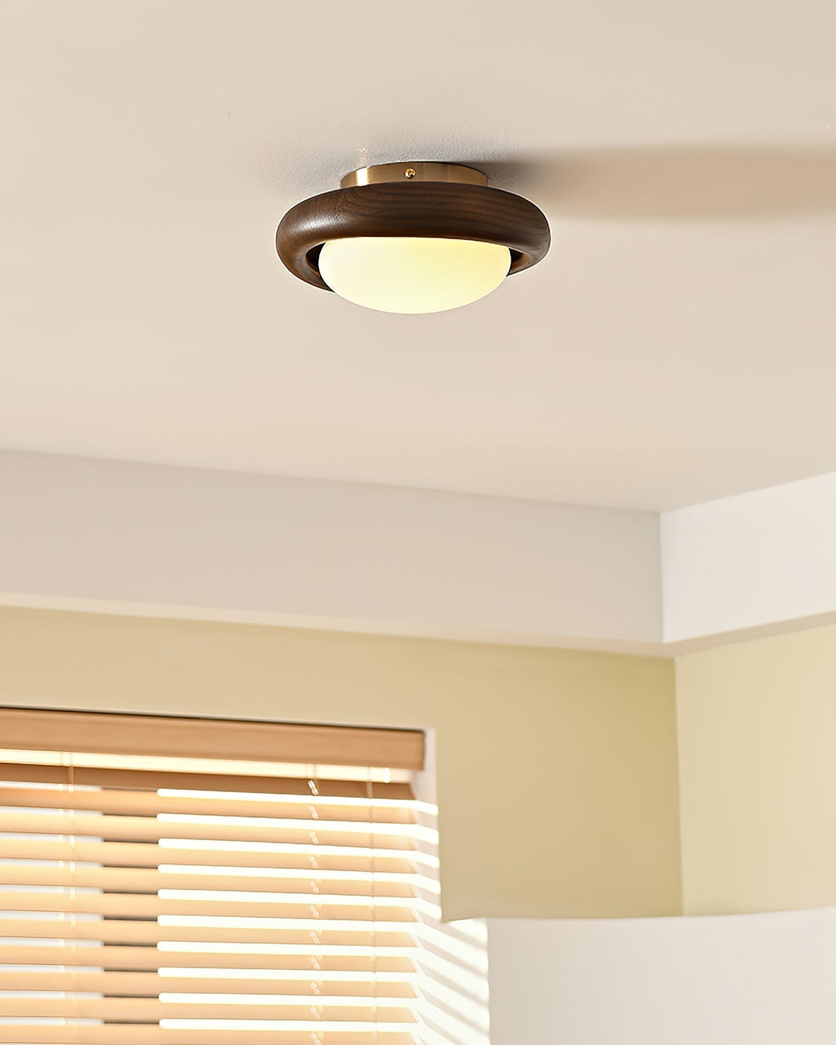 Avenuia lampada da soffitto