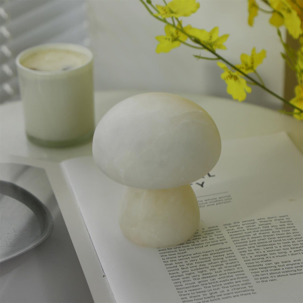 Fungi lampada da tavolo con batteria integrata