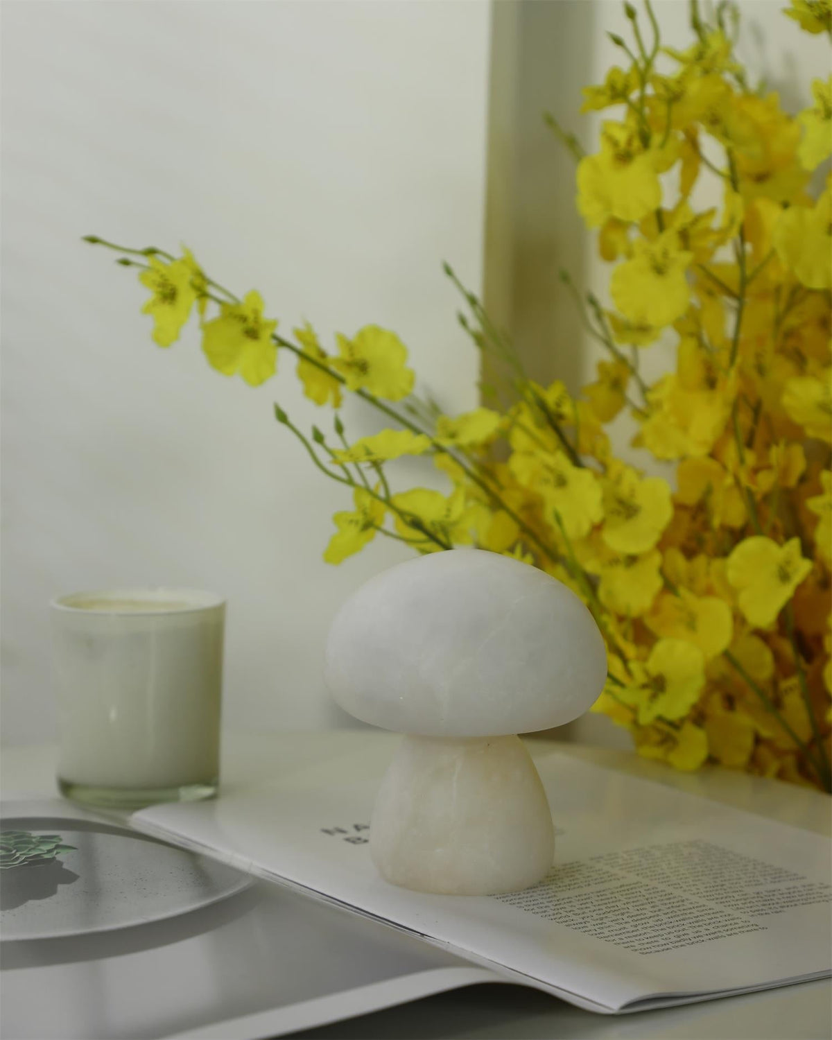 Fungi lampada da tavolo con batteria integrata