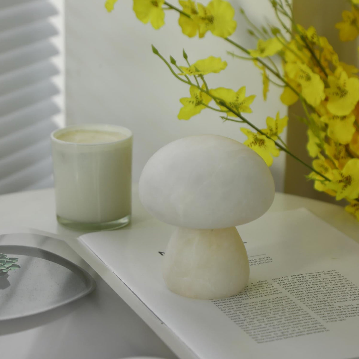 Fungi lampada da tavolo con batteria integrata