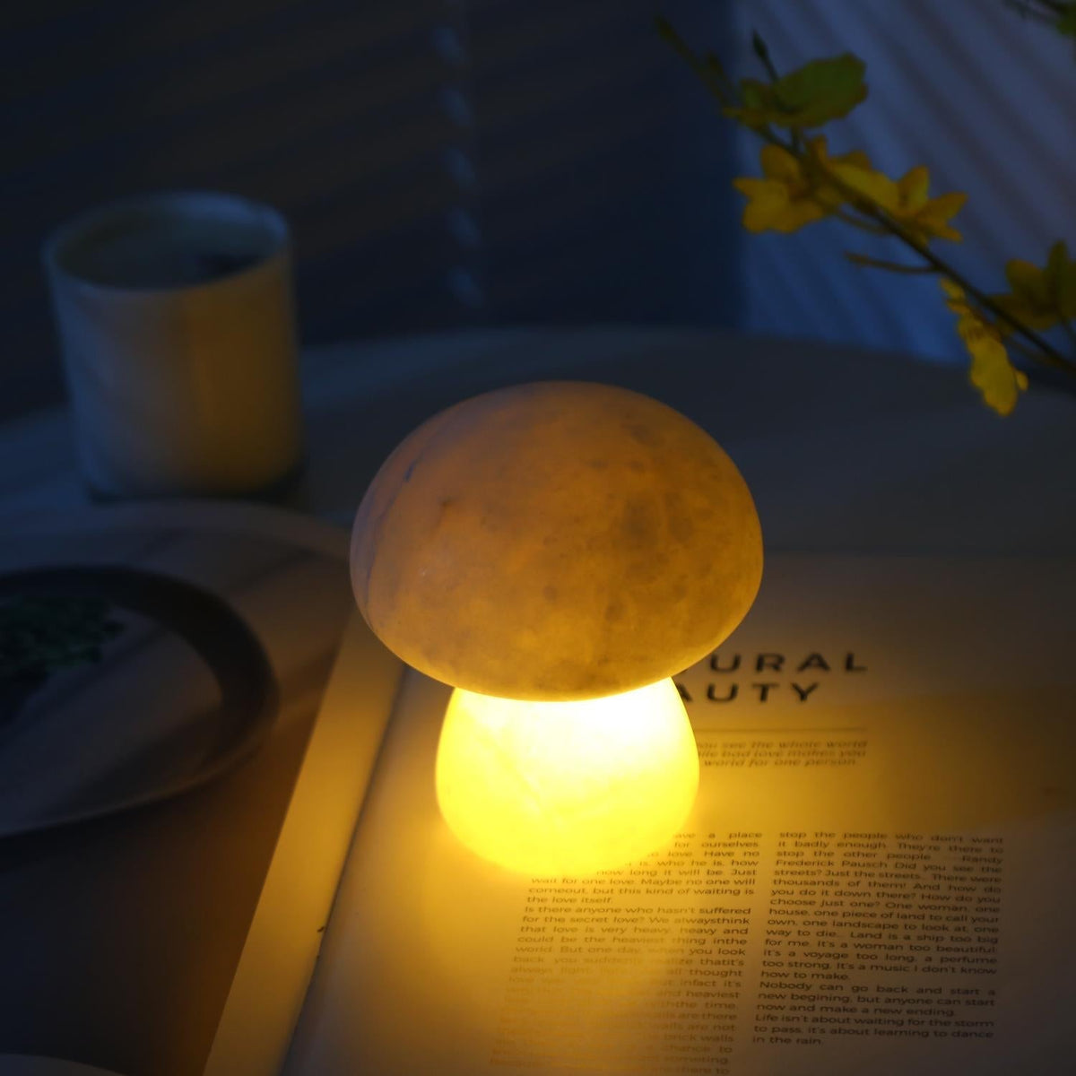Fungi lampada da tavolo con batteria integrata