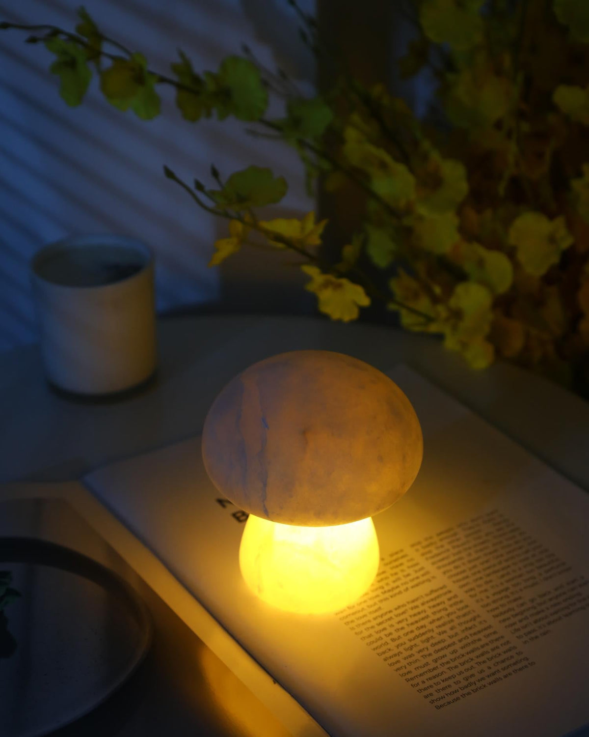 Fungi lampada da tavolo con batteria integrata