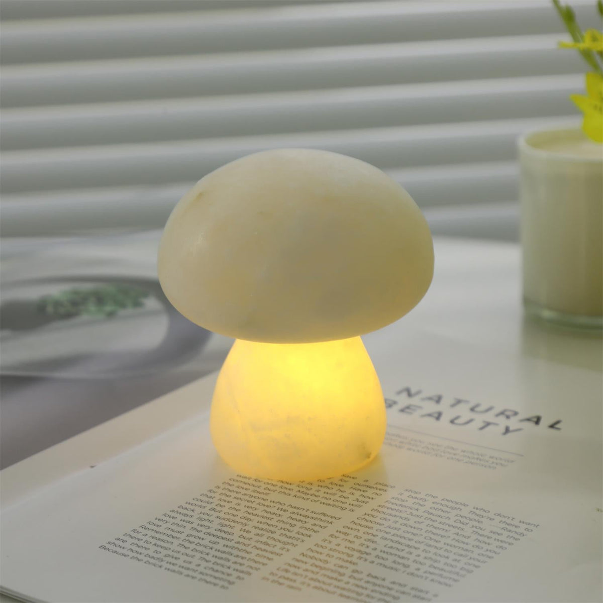 Fungi lampada da tavolo con batteria integrata