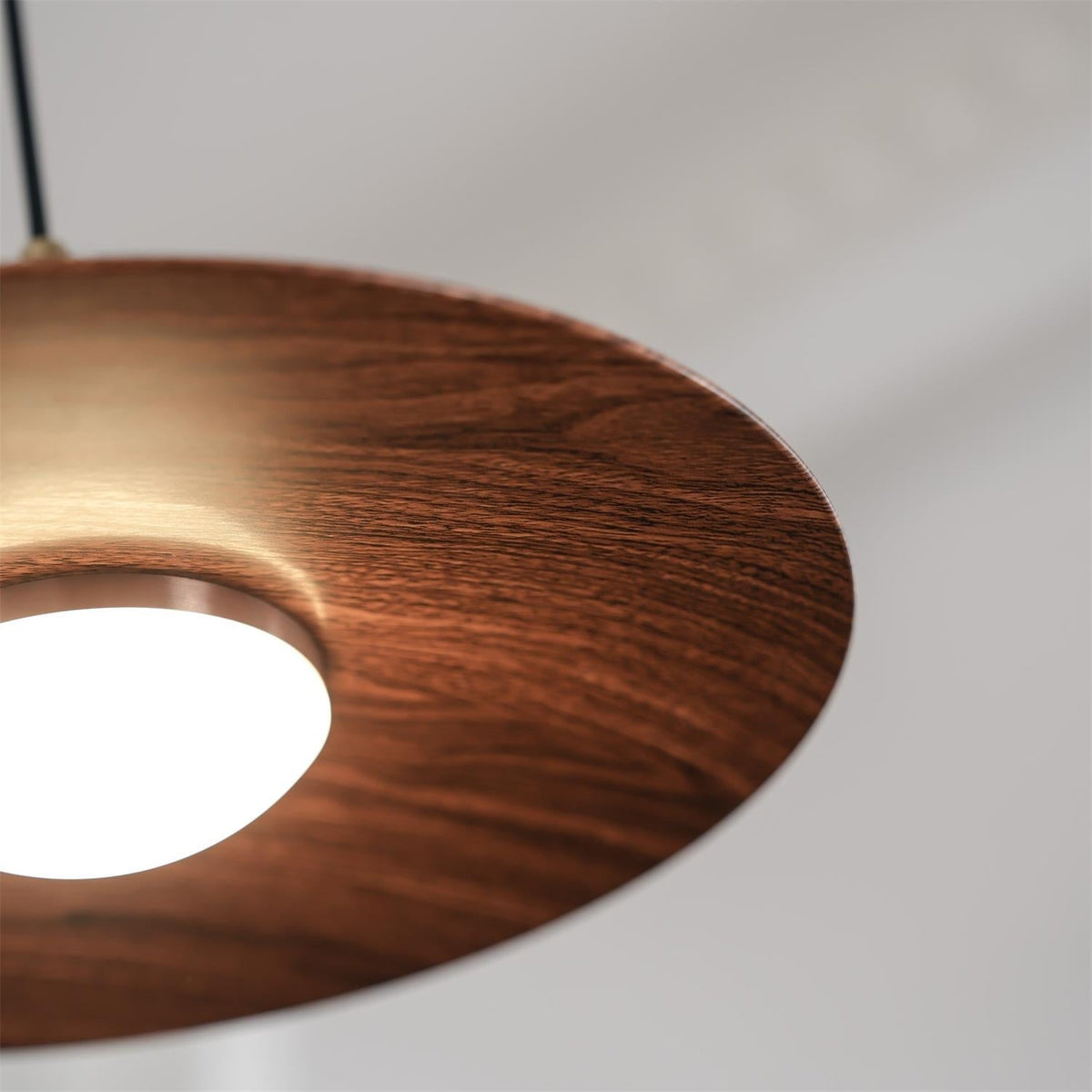 Soraena lampada a sospensione