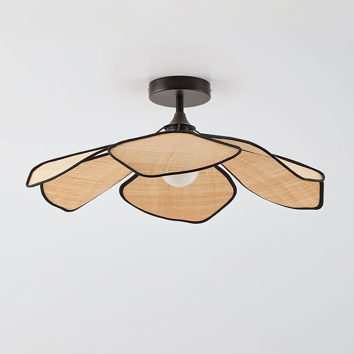 Anselma lampada da soffitto