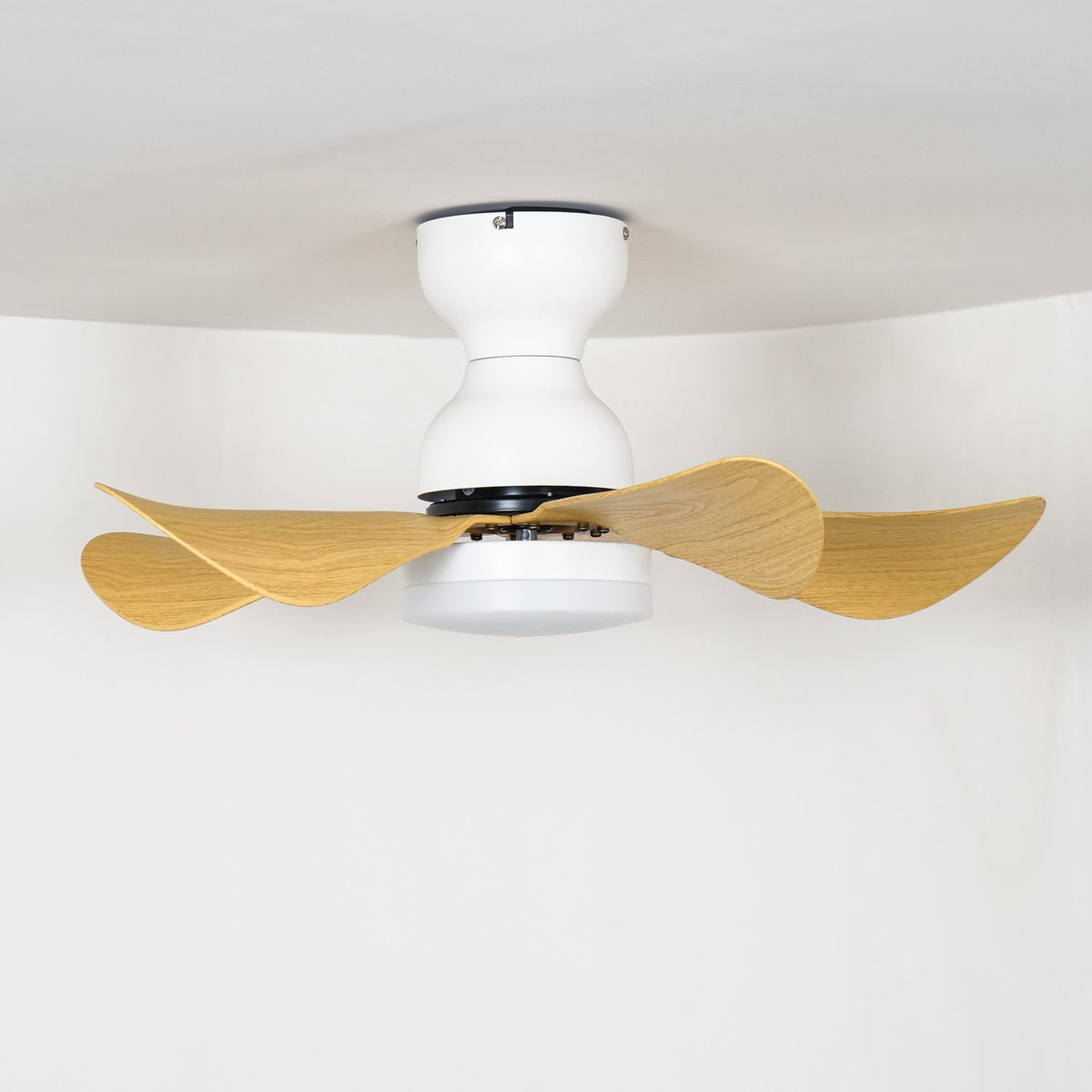 Elvanelle Ventilatore da soffitto con luce in legno noce