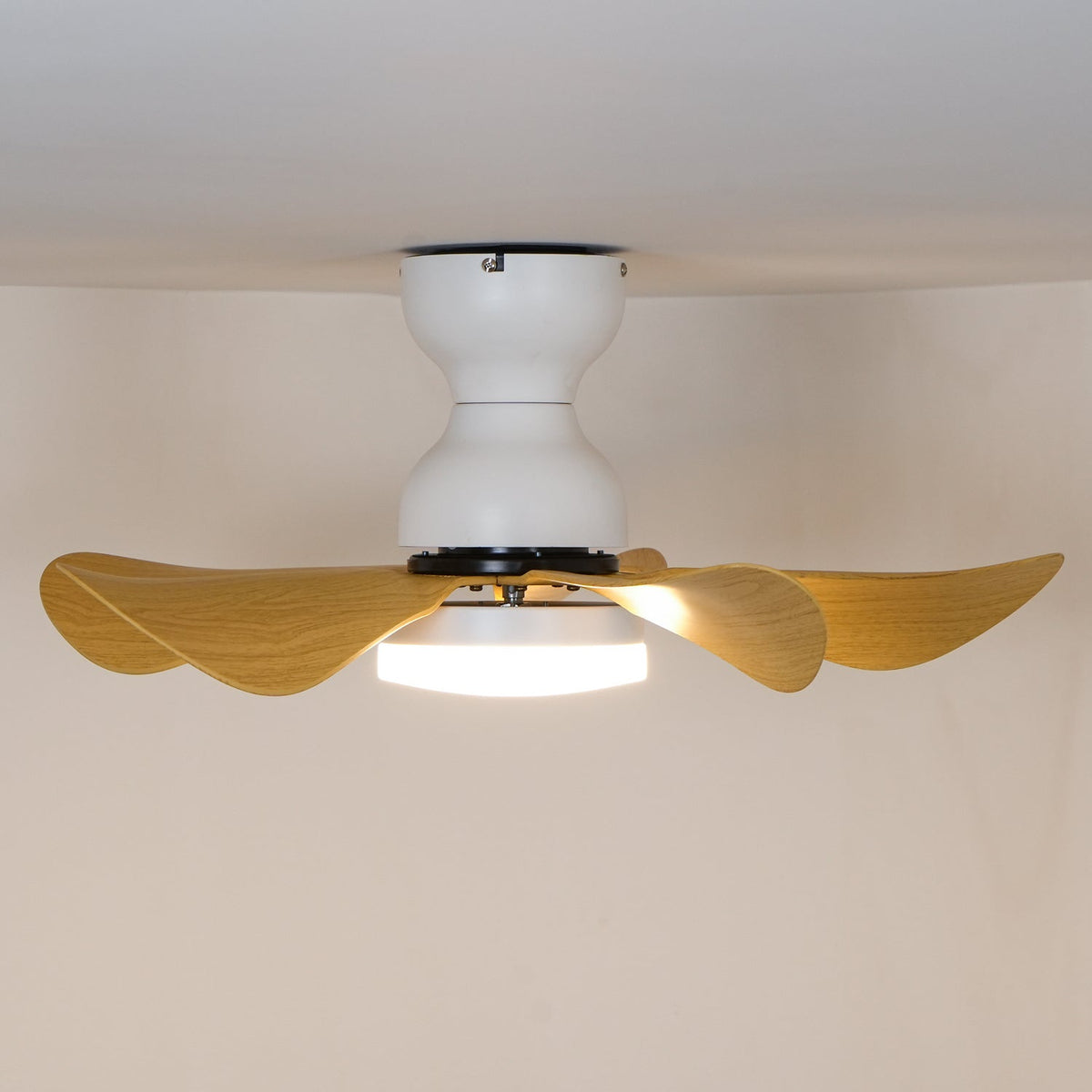 Elvanelle Ventilatore da soffitto con luce in legno noce