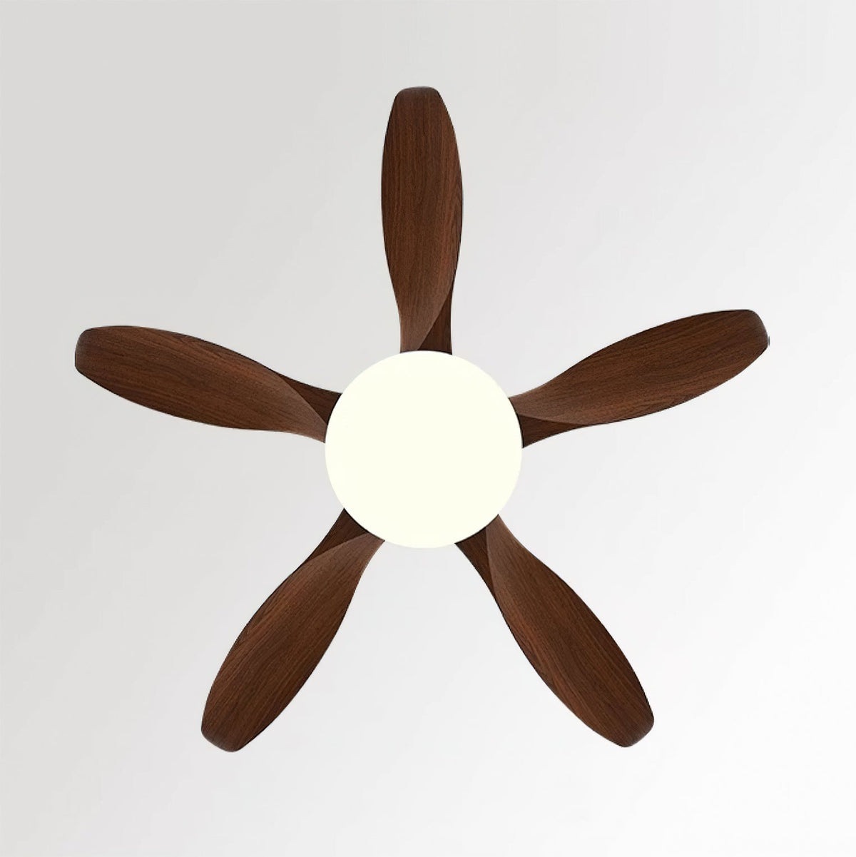 Liororeria ventilatore da soffitto con luce