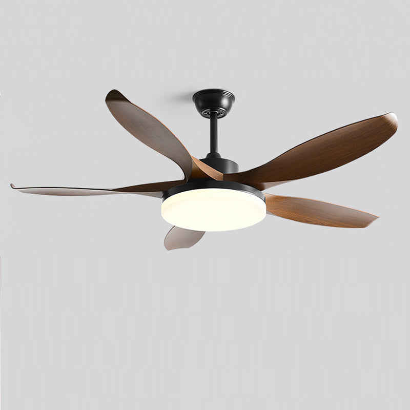 Liororeria ventilatore da soffitto con luce