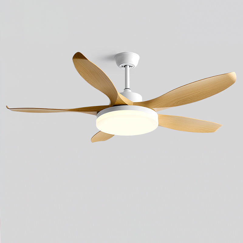 Liororeria ventilatore da soffitto con luce