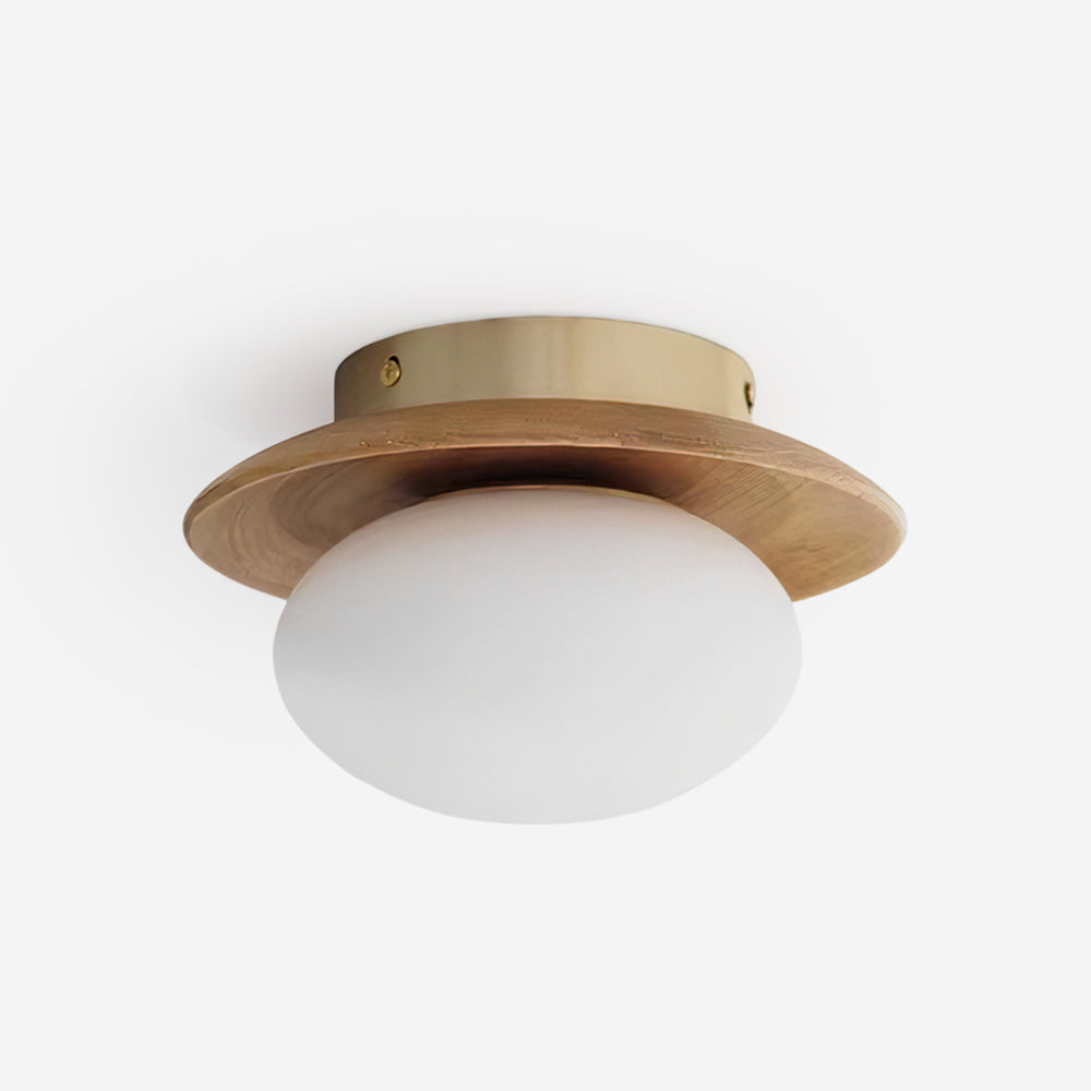 Avenoreria lampada da soffitto