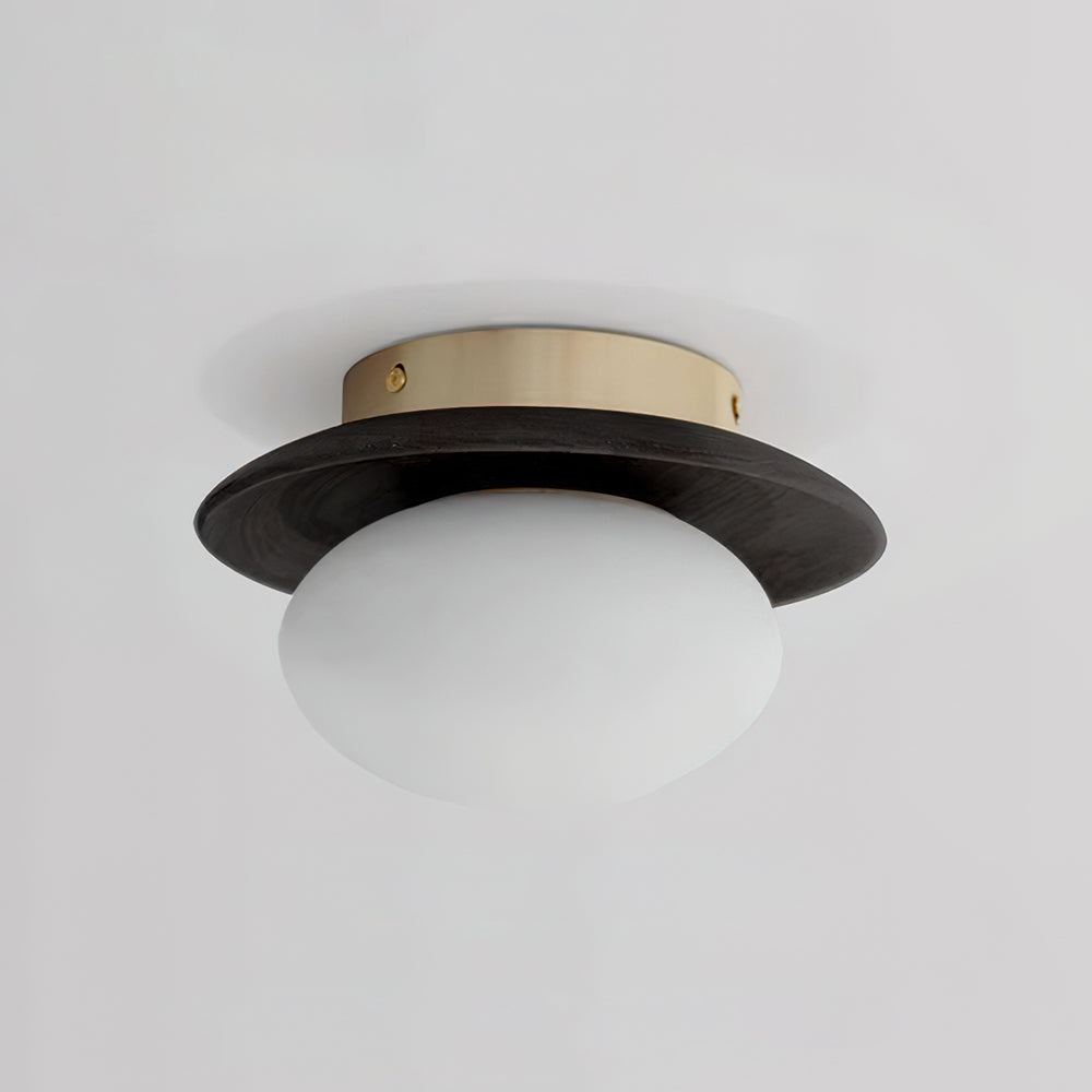 Avenoreria lampada da soffitto