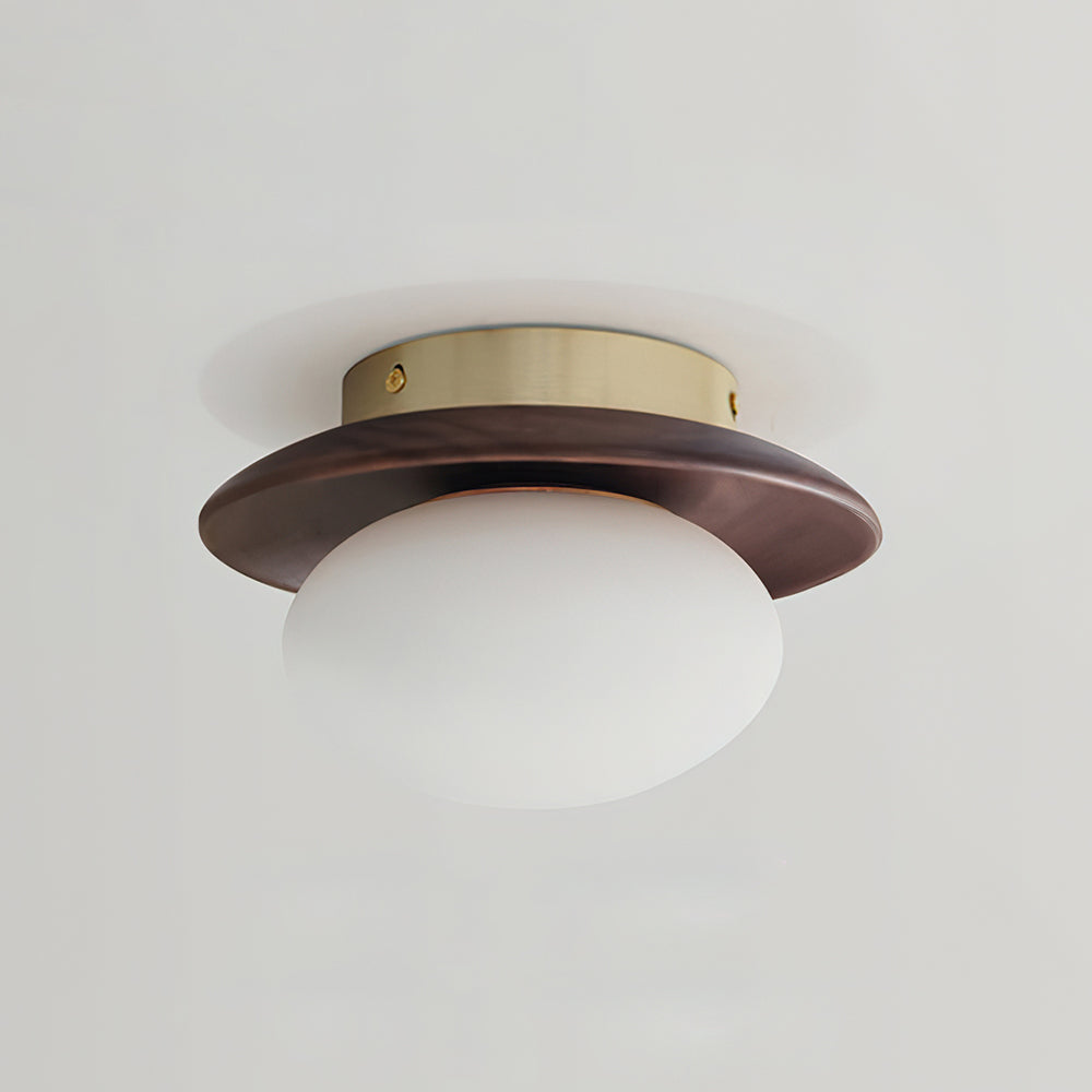 Avenoreria lampada da soffitto