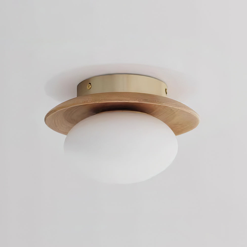 Avenoreria lampada da soffitto