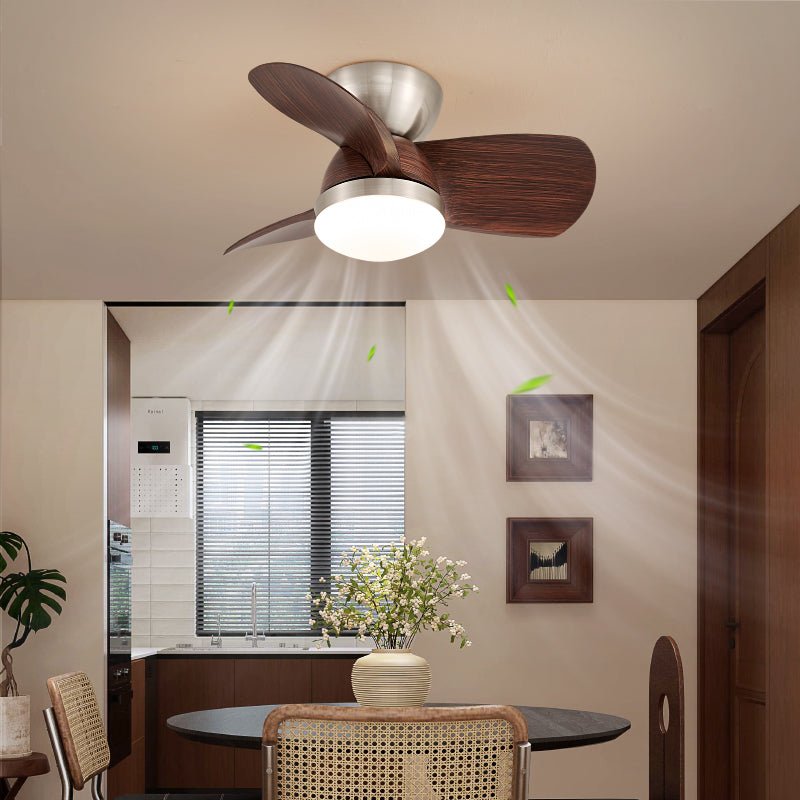 Dyms ventilatore da soffitto con luce