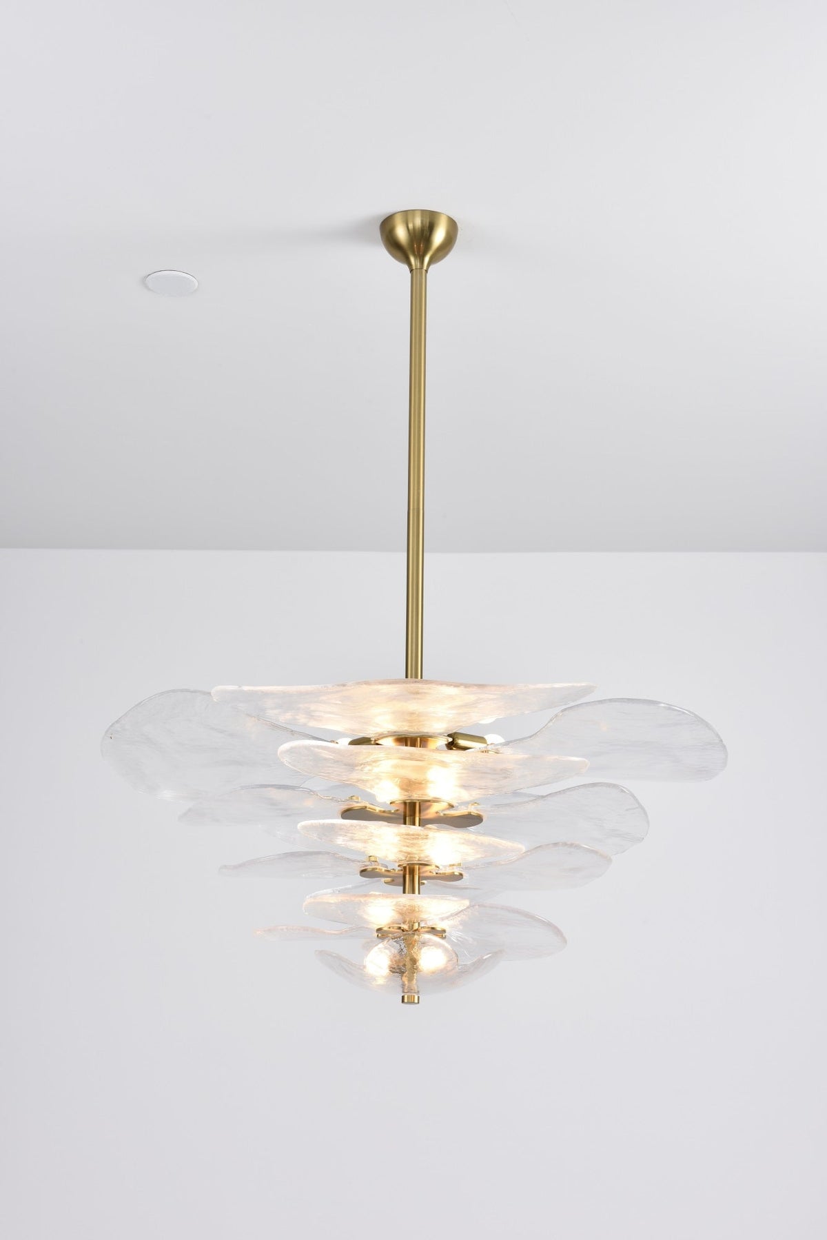Crivs lampadario Oro vetro Murano petali lusso
