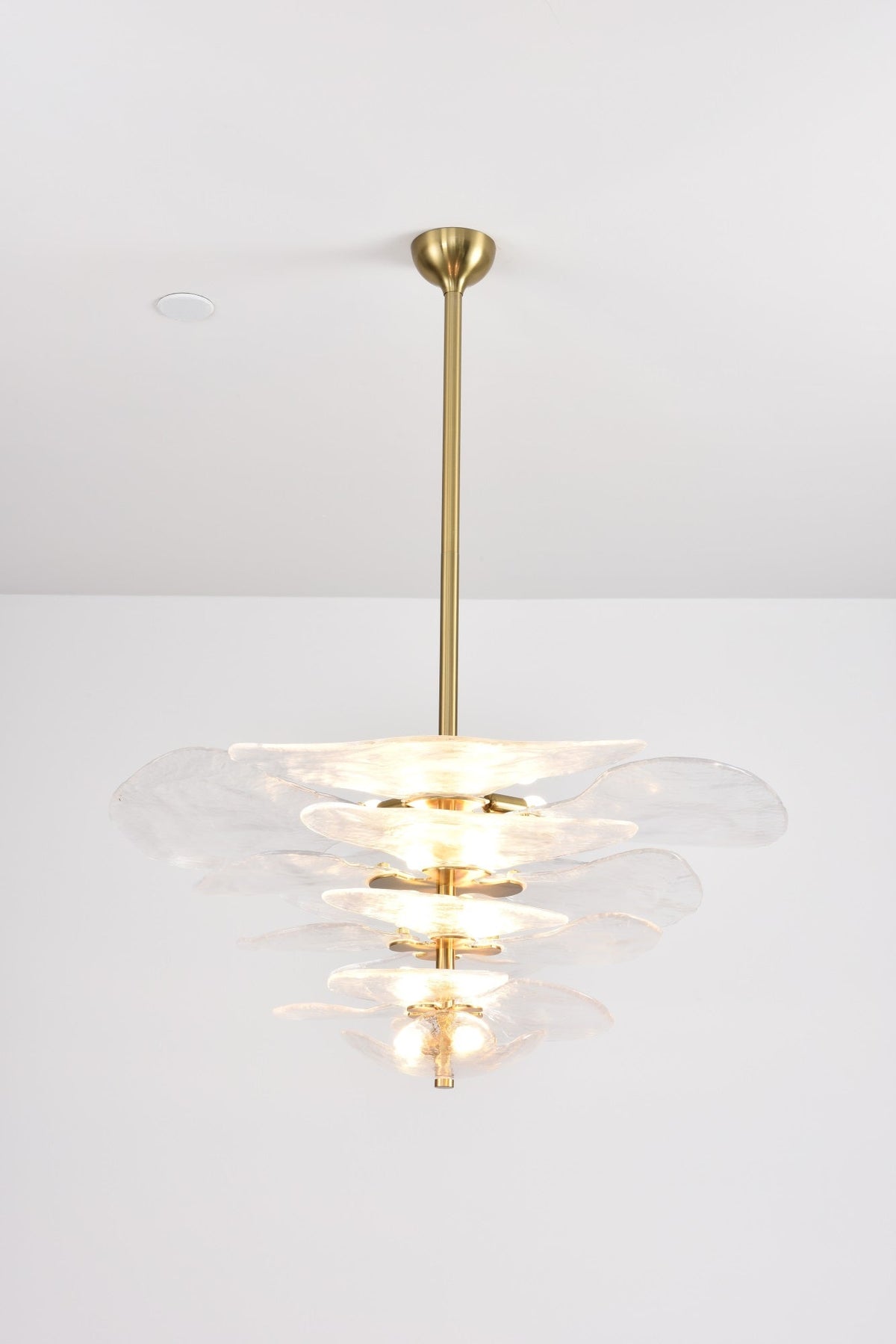 Crivs lampadario Oro vetro Murano petali lusso