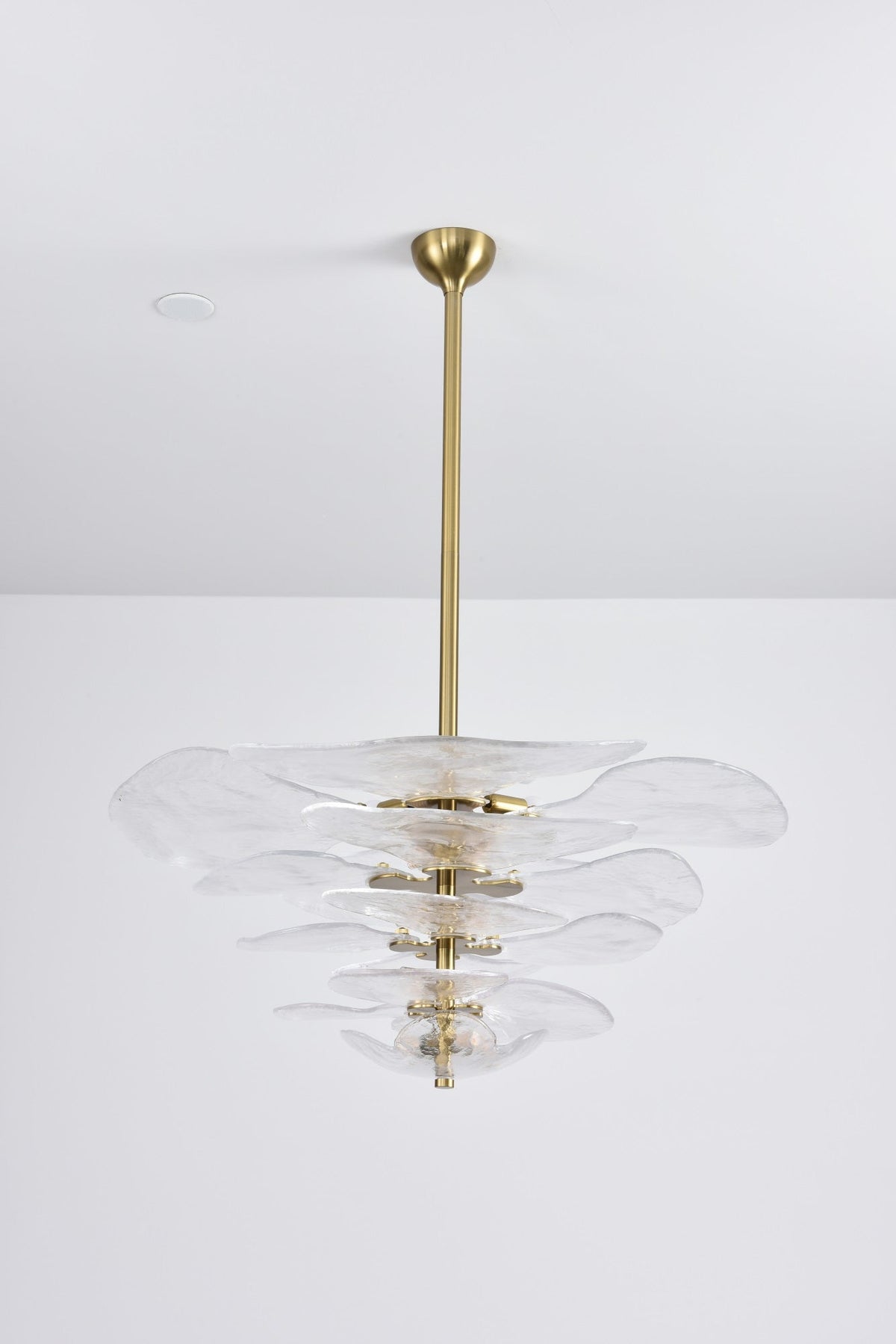 Crivs lampadario Oro vetro Murano petali lusso