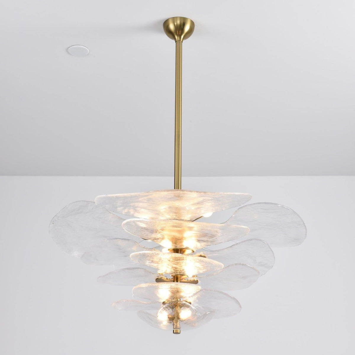 Crivs lampadario Oro vetro Murano petali lusso