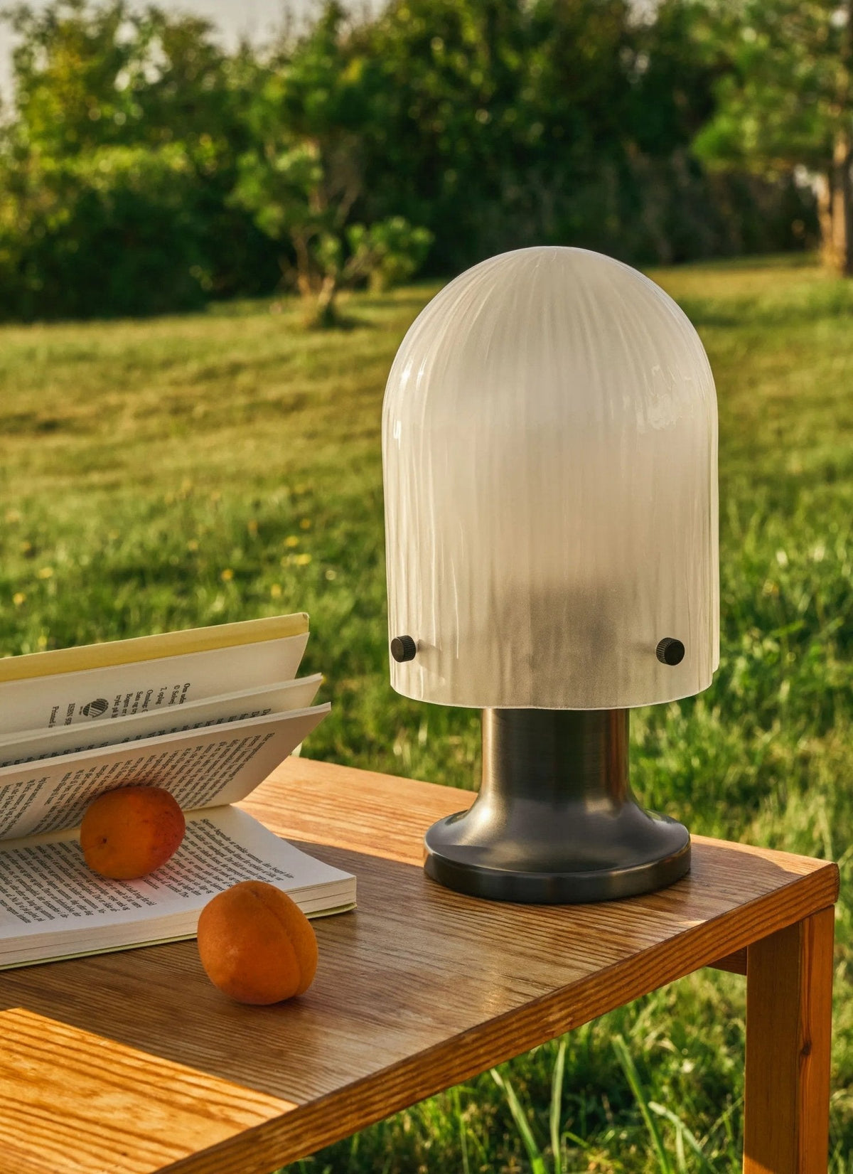 Ceryn lampada da tavolo