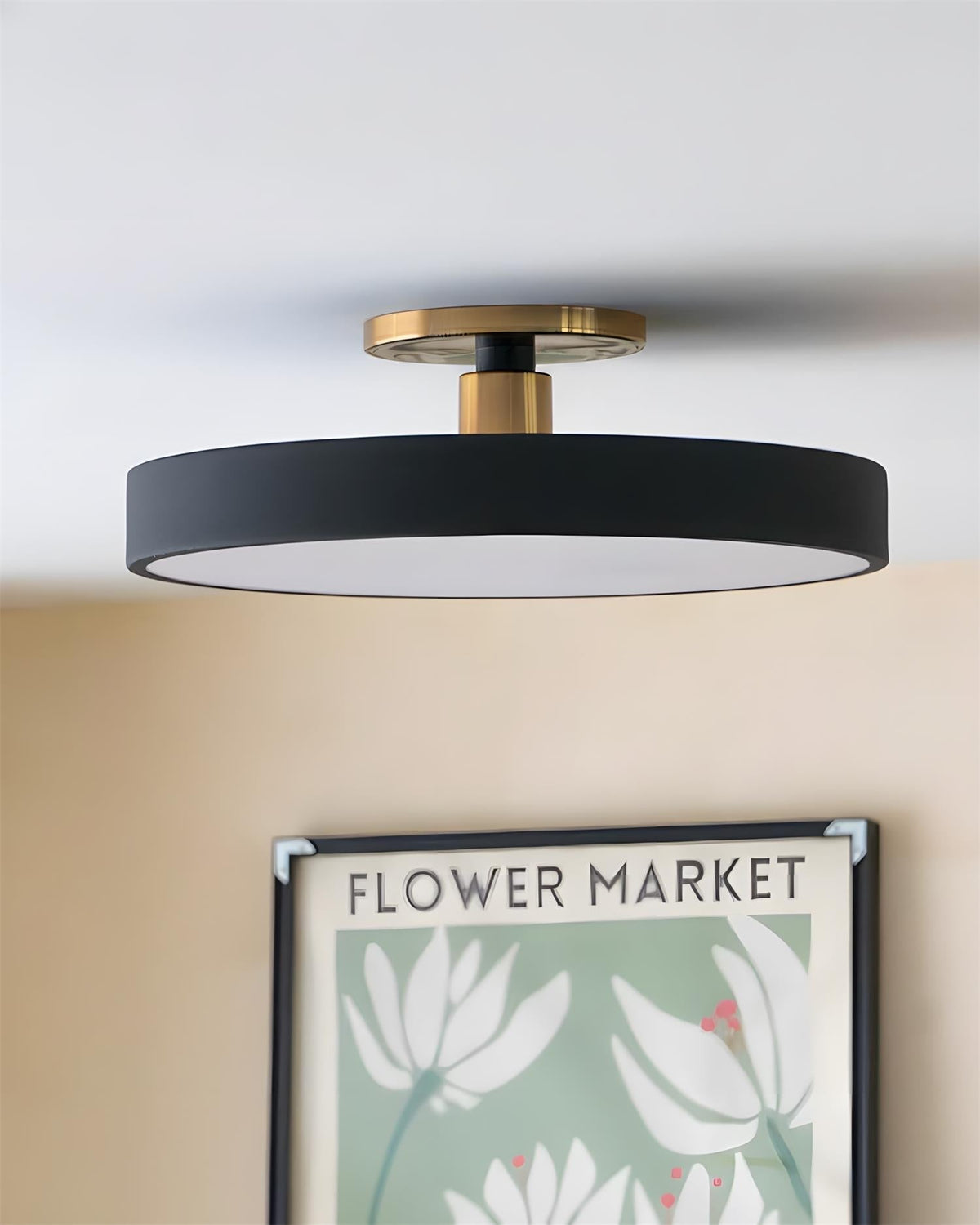 Oreleiella lampada da soffitto